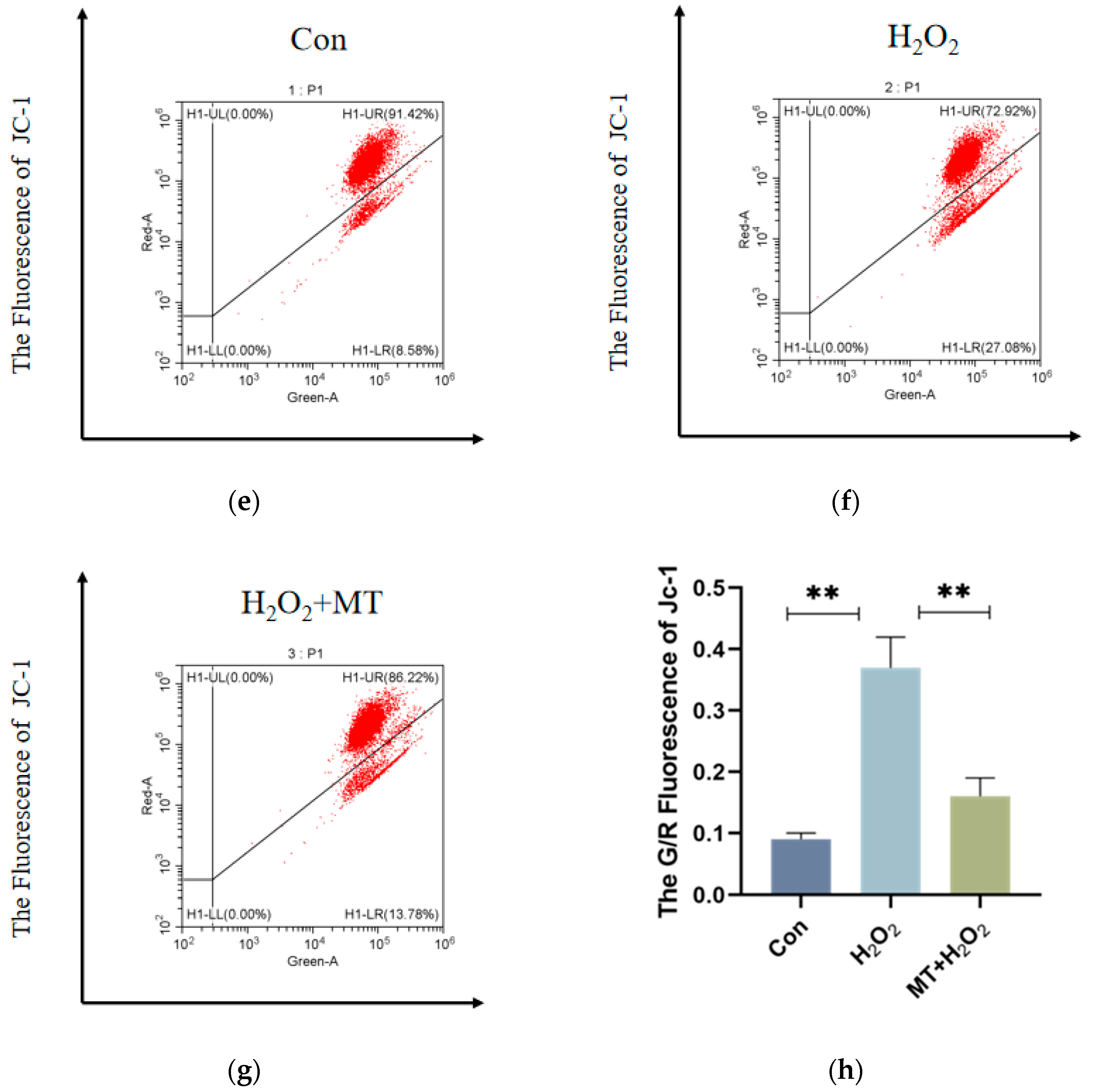 Genes 16 00362 g004b