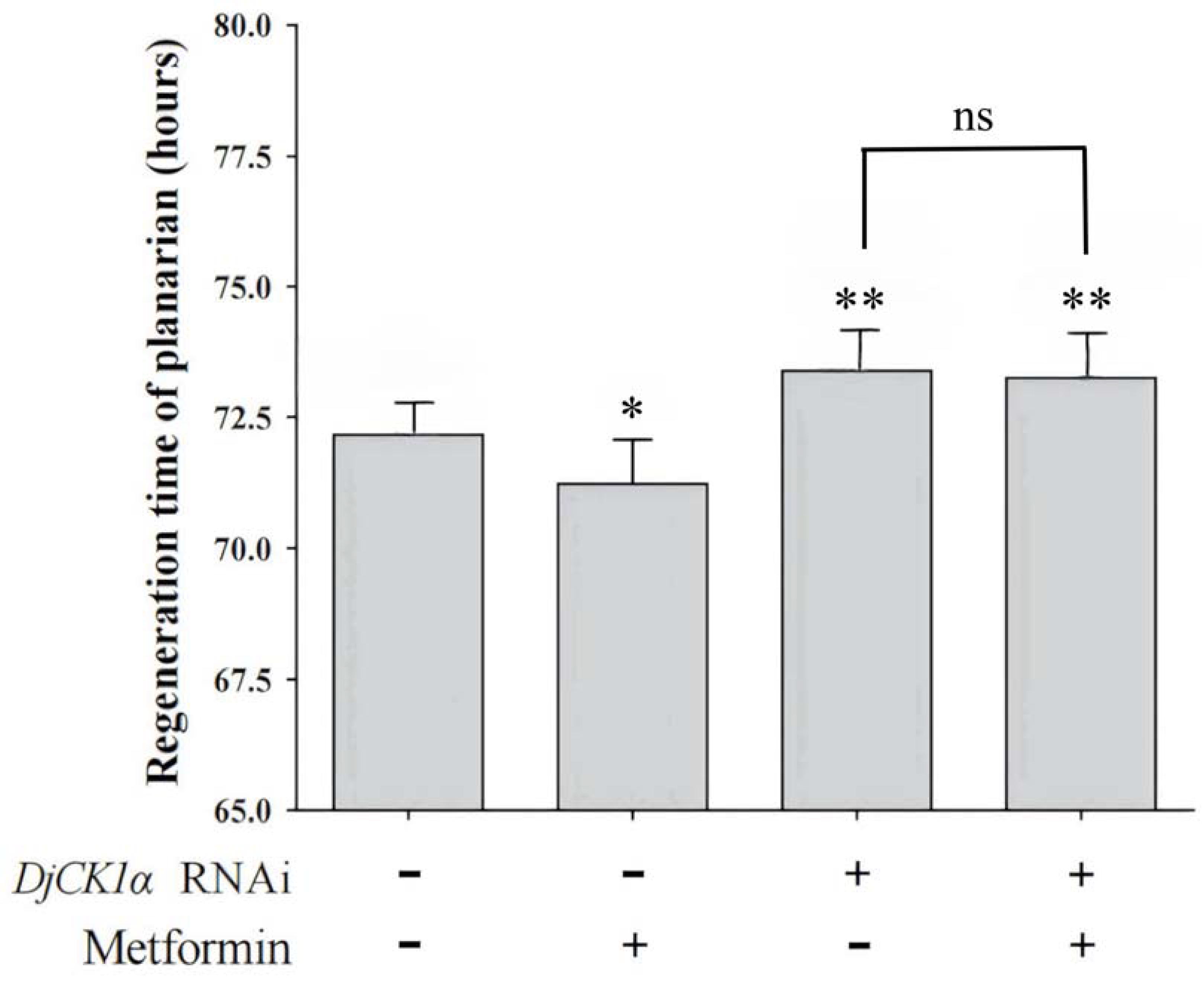 Genes 16 00365 g008