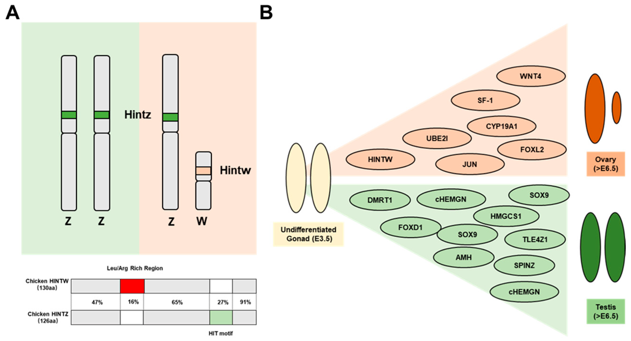 Genes 16 00366 g001