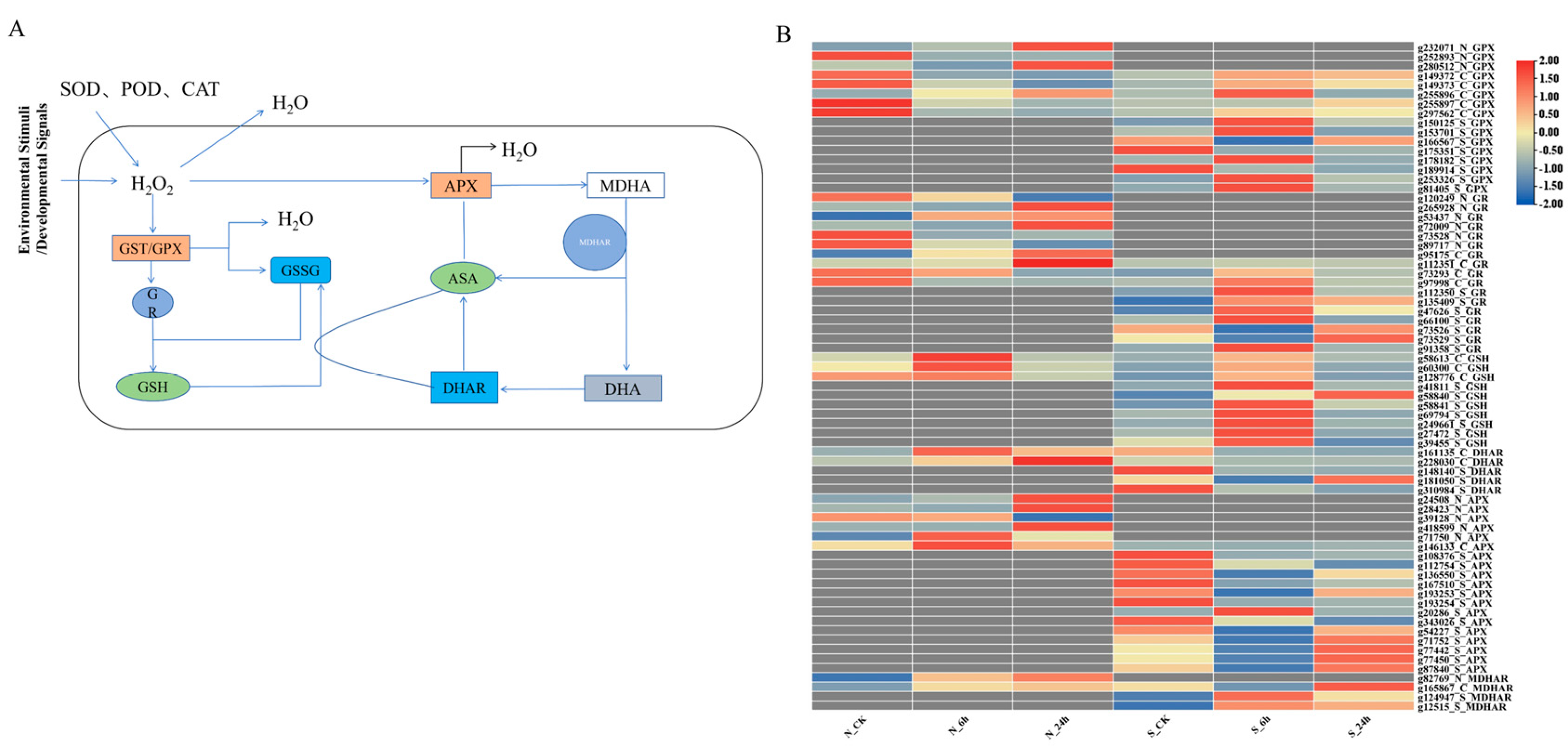 Genes 16 00367 g007