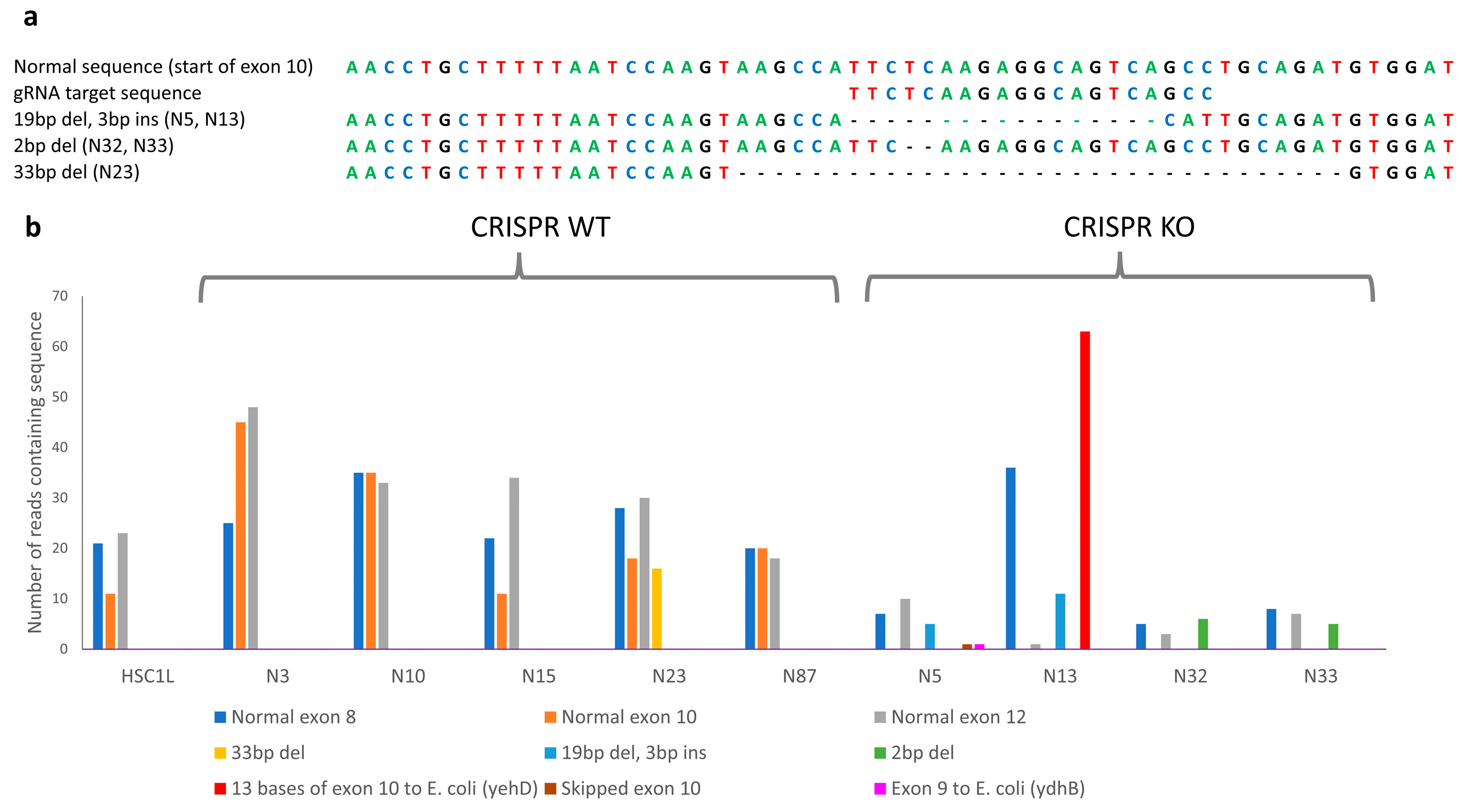 Genes 16 00369 g001