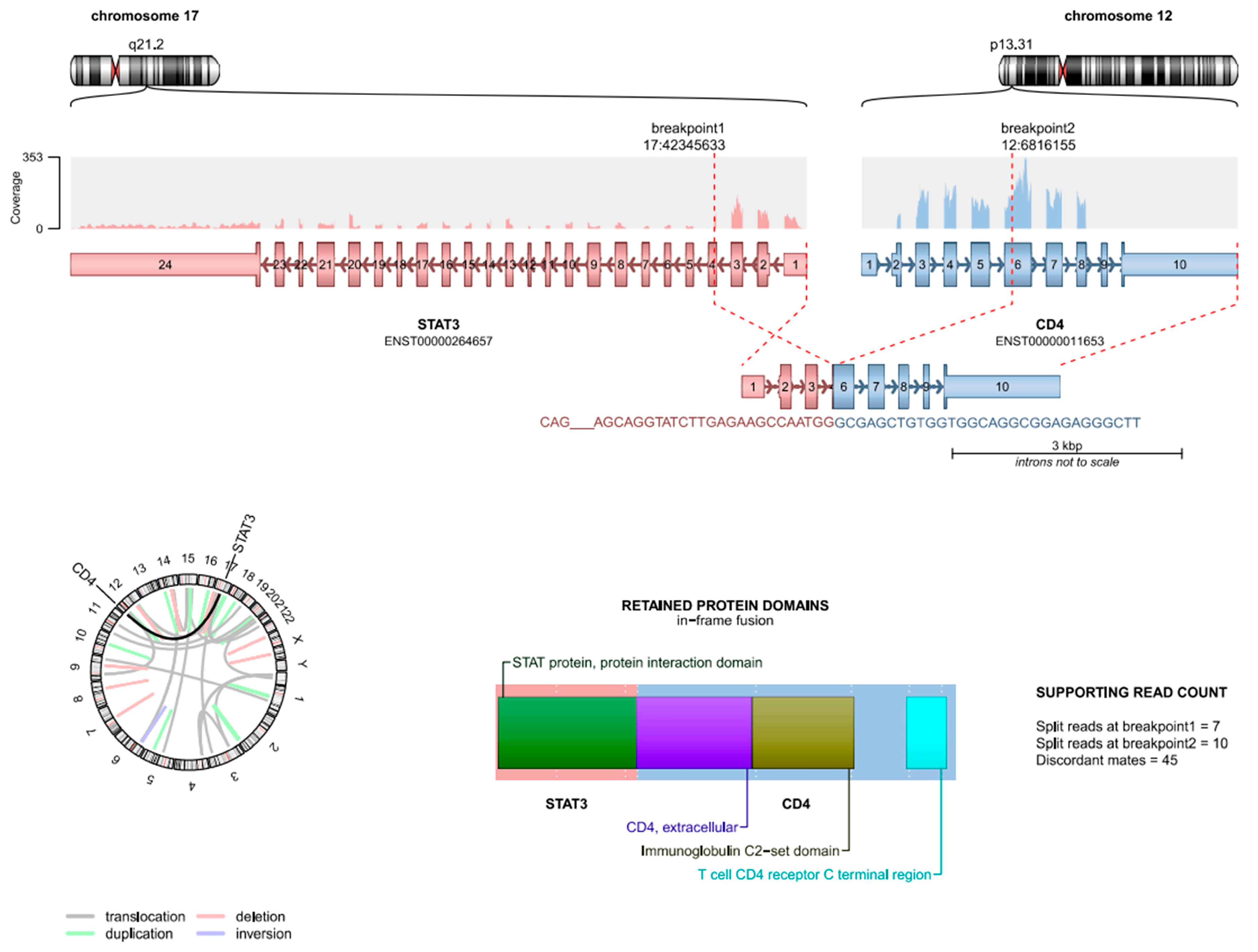 Genes 16 00369 g002