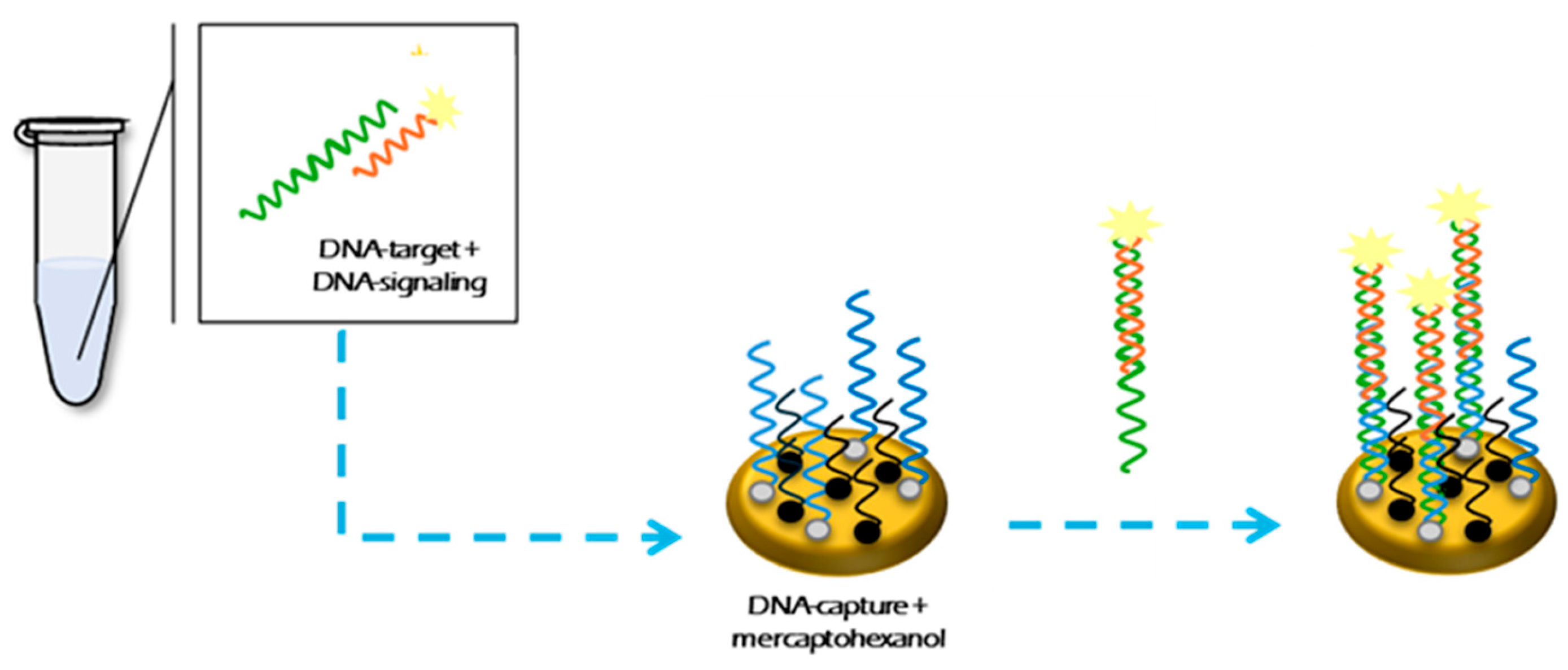 Genes 16 00372 sch003