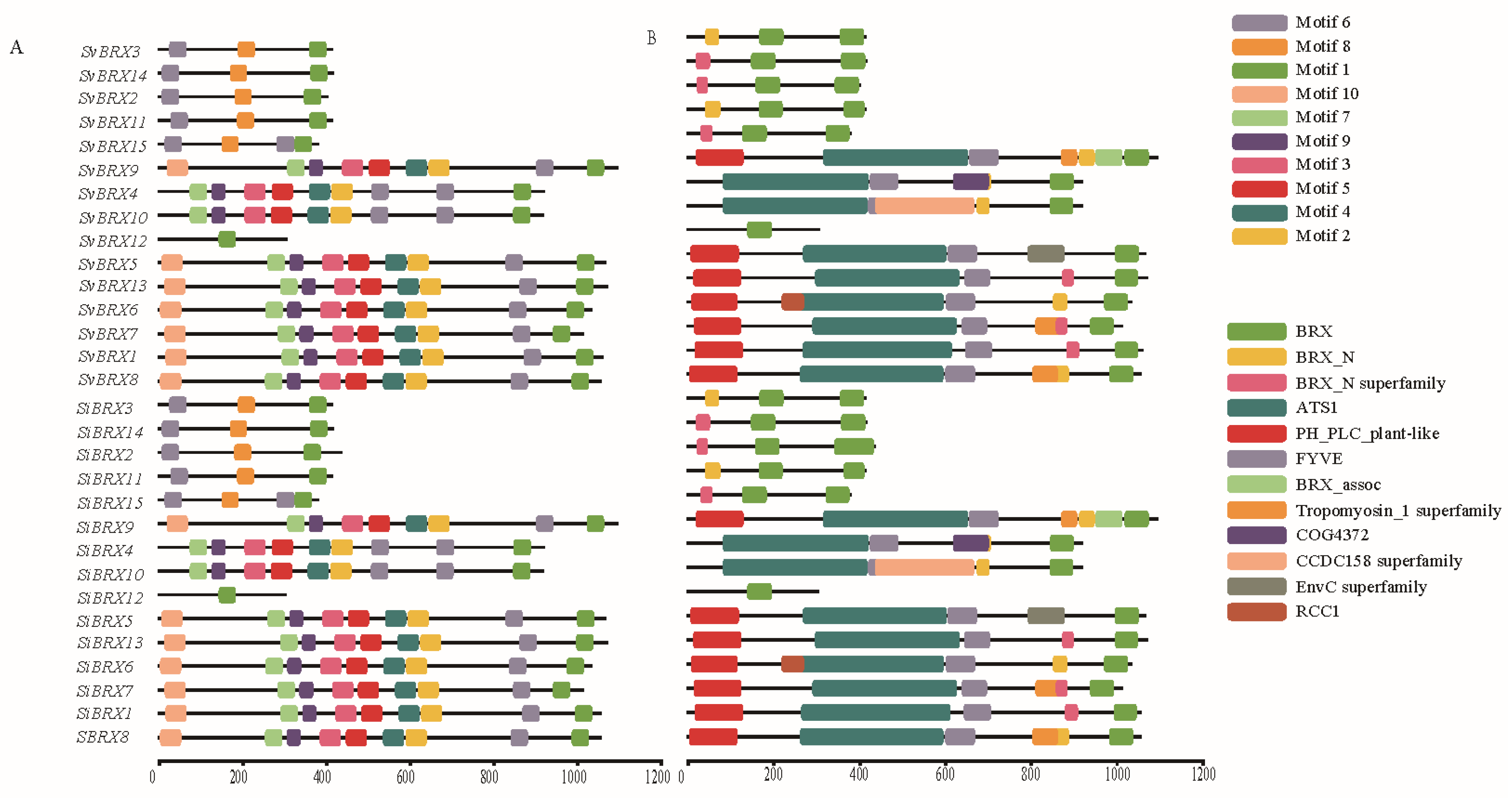 Genes 16 00374 g003