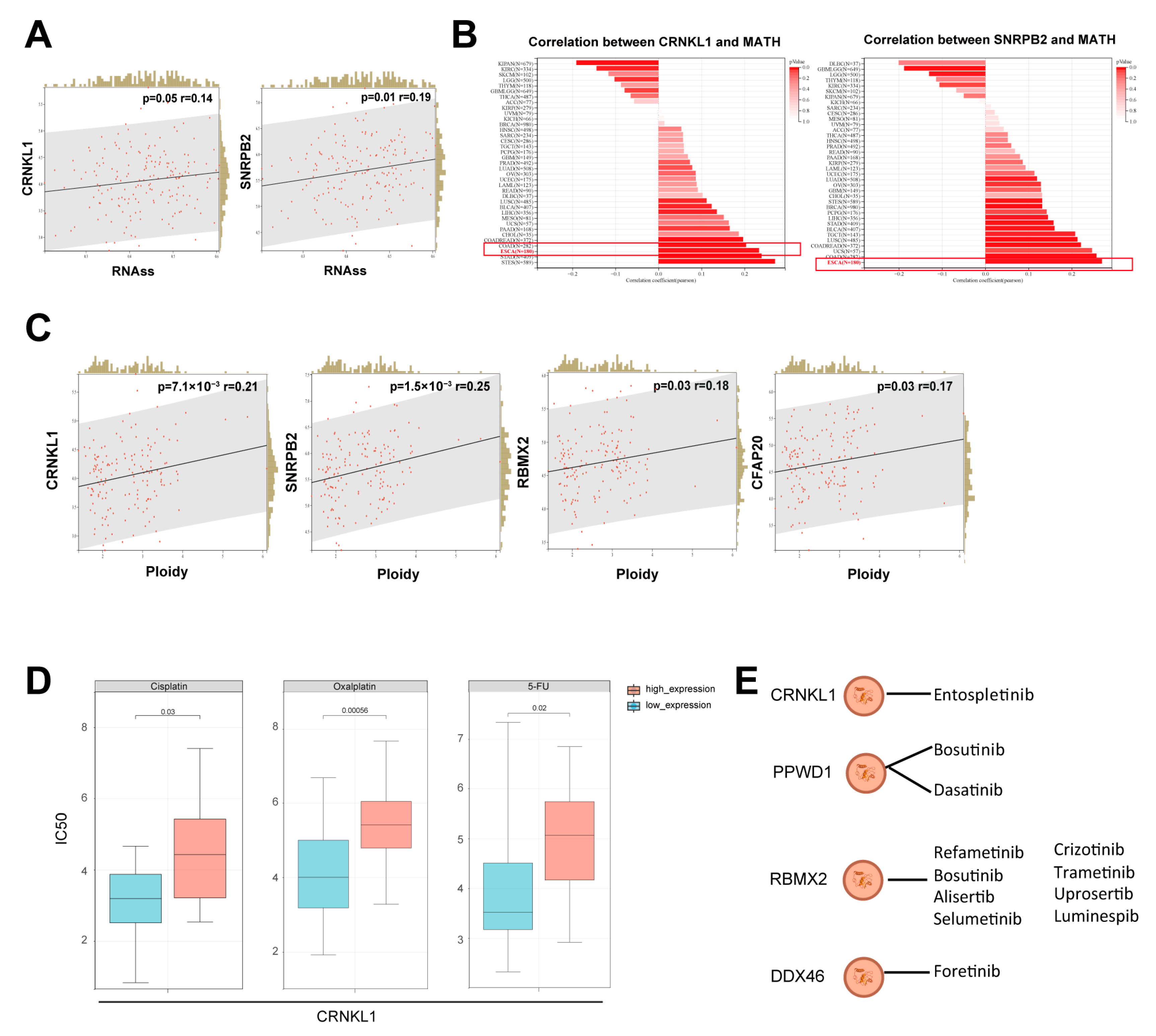 Genes 16 00379 g004
