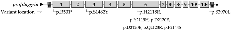 Genes 16 00380 i001