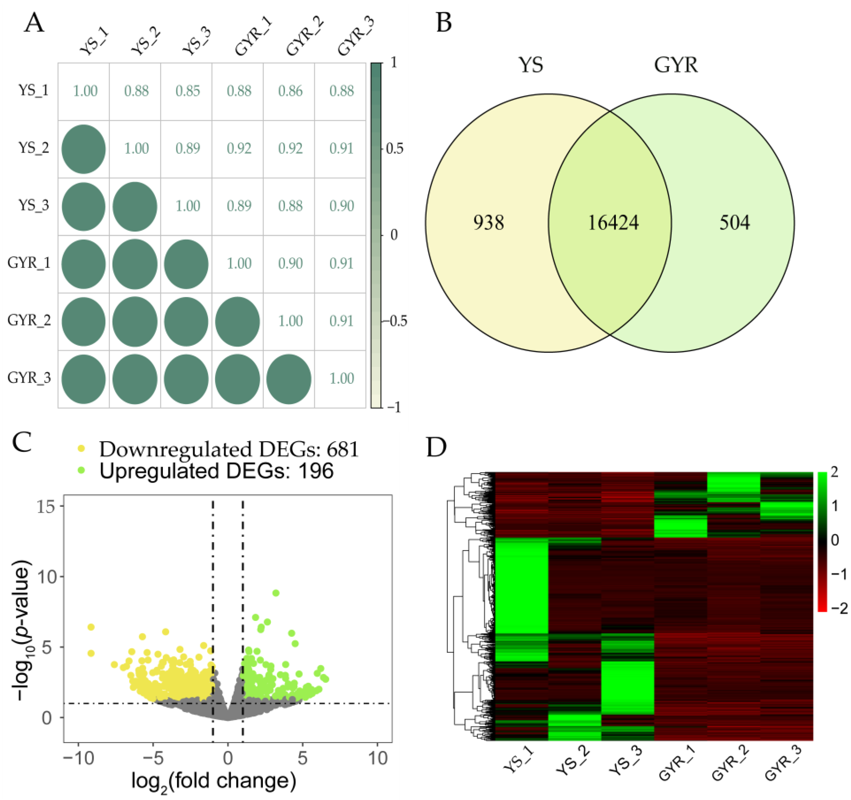 Genes 16 00383 g003