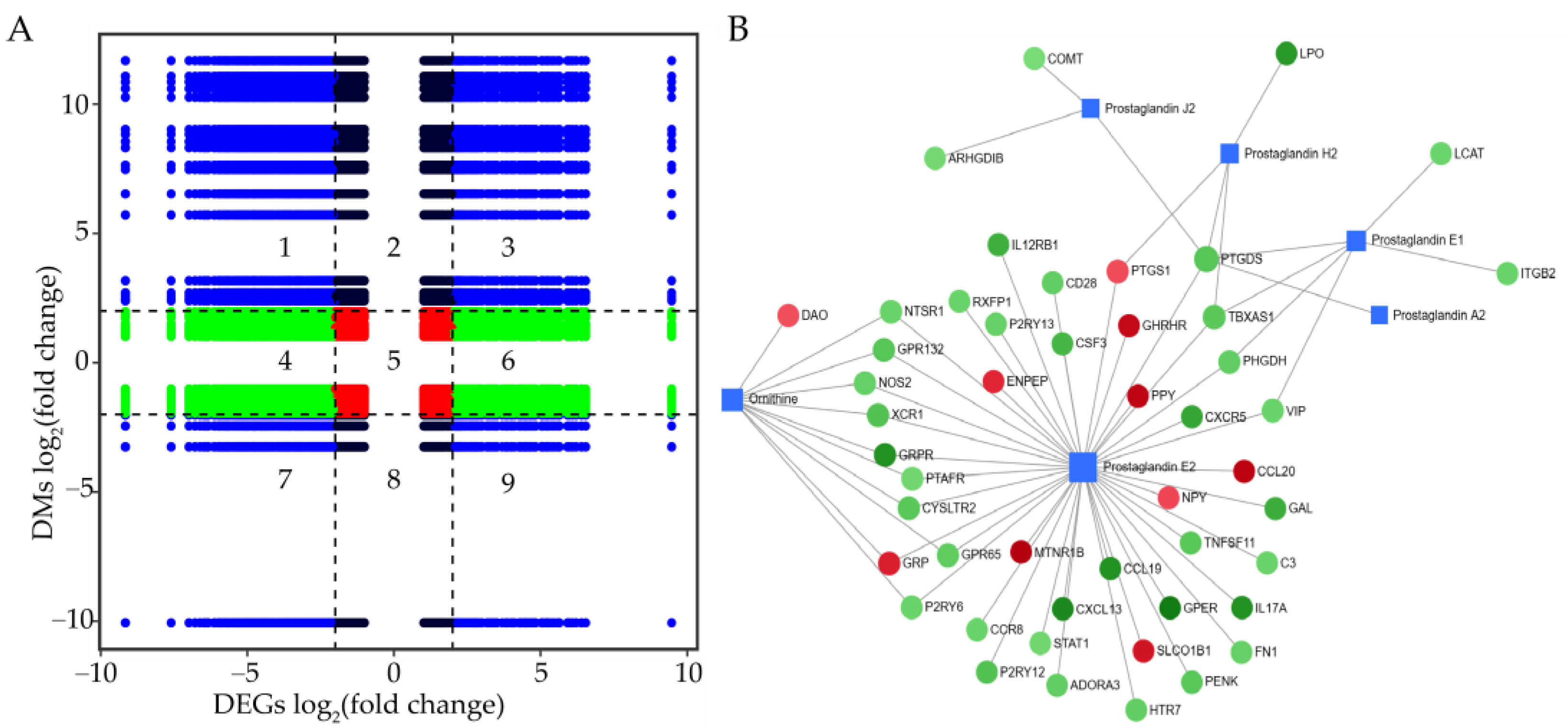 Genes 16 00383 g006
