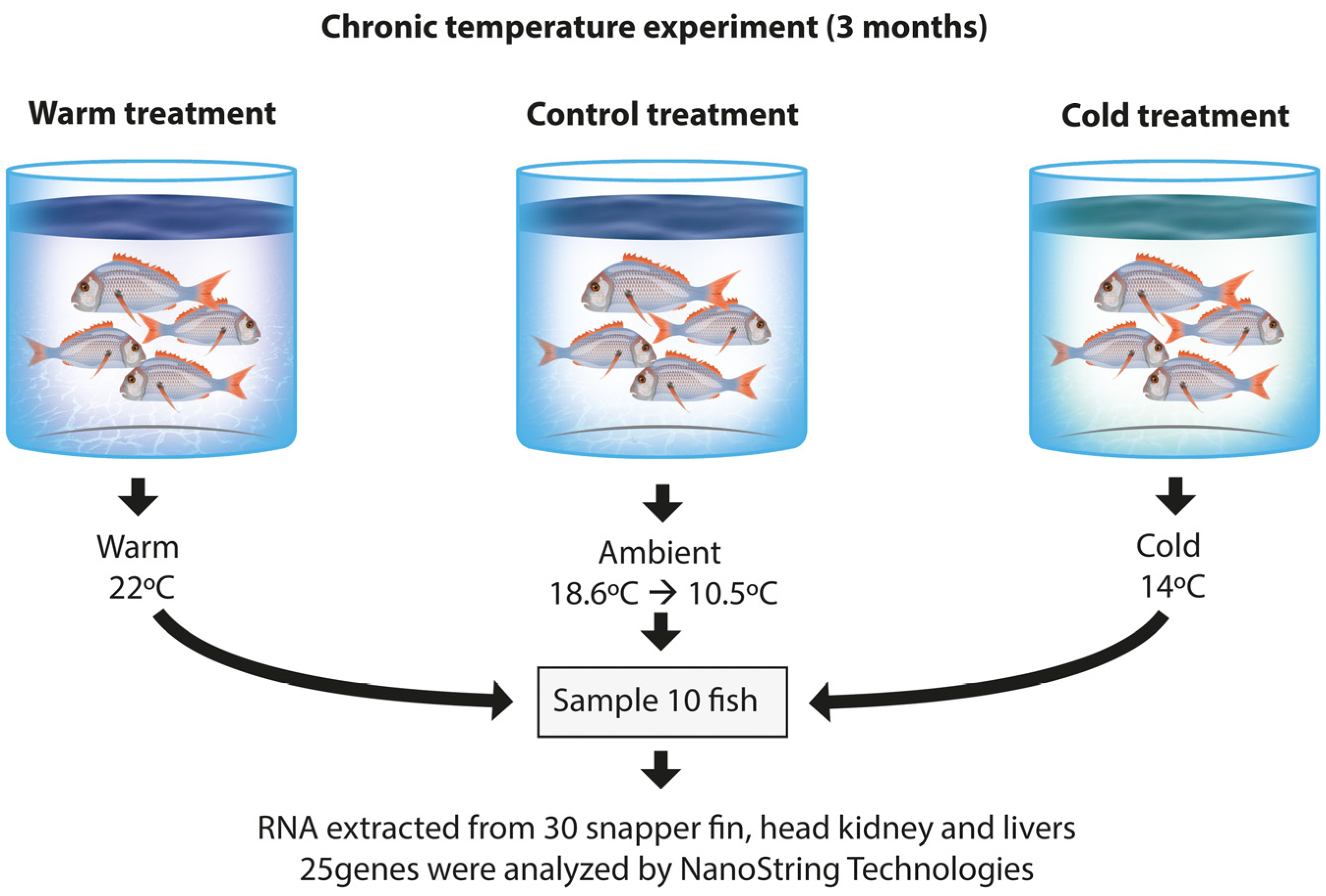 Genes 16 00385 g001 Genes 16 00385 g001