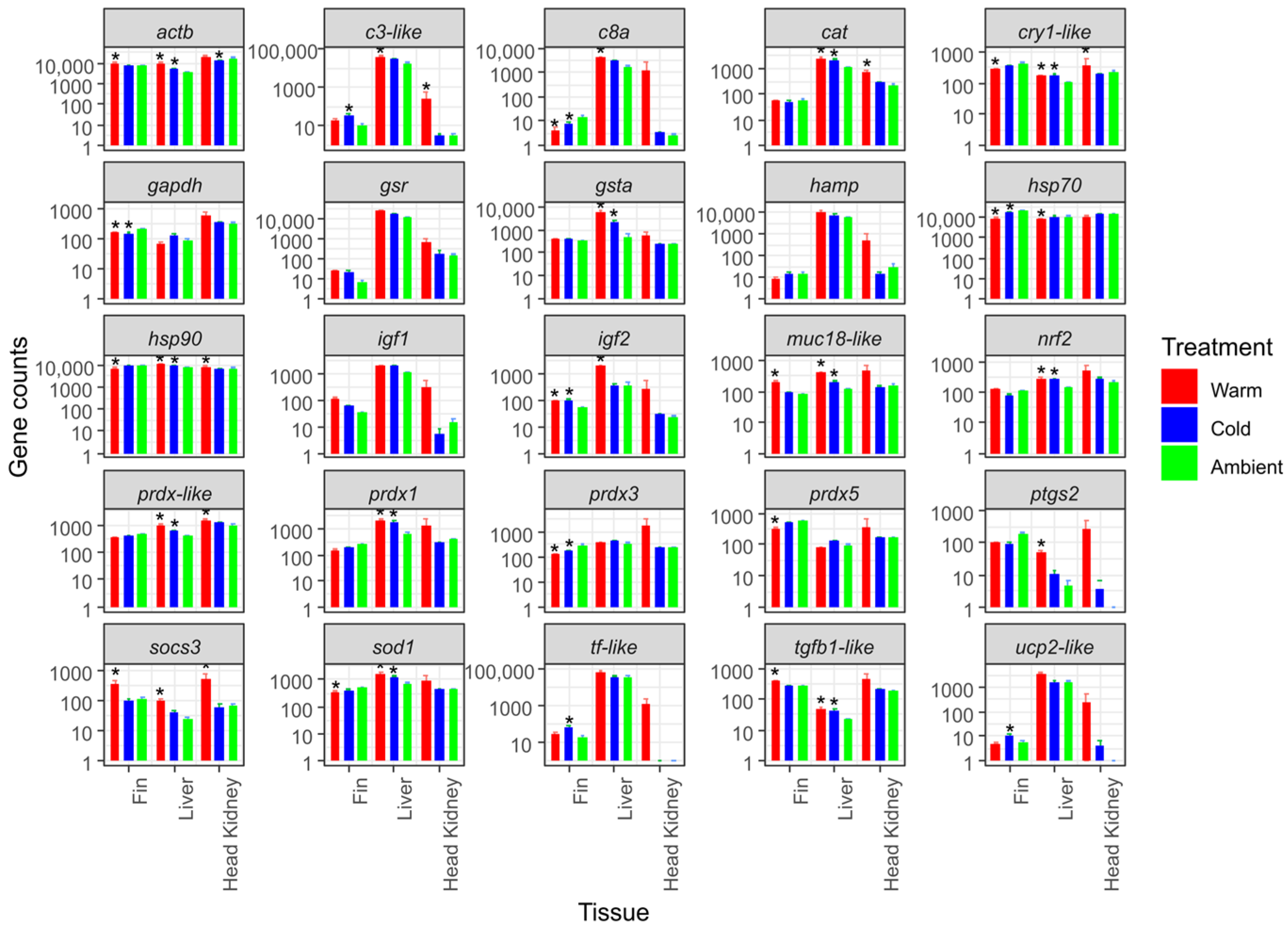 Genes 16 00385 g002 Genes 16 00385 g002