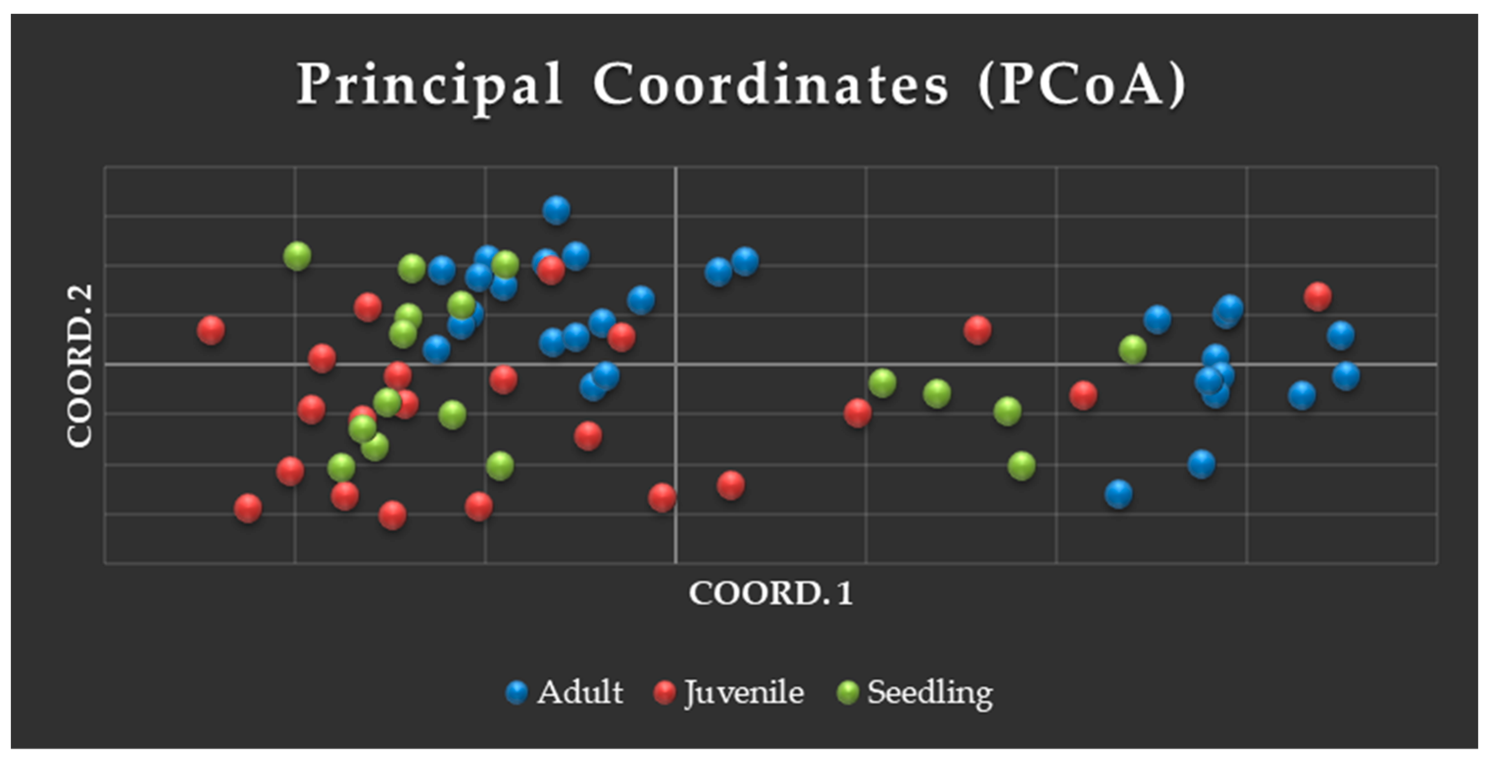 Genes 16 00388 g006a