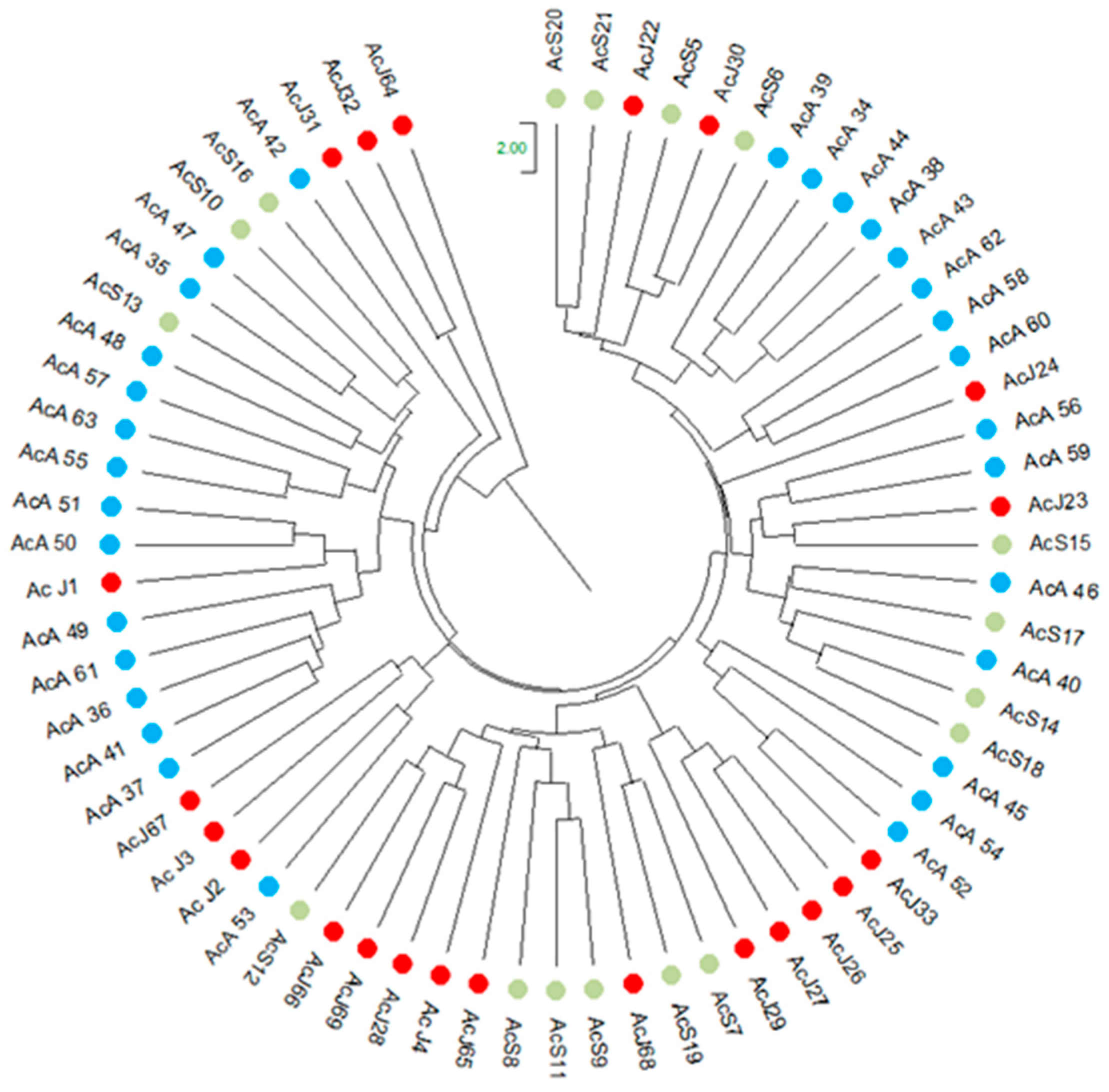 Genes 16 00388 g006b
