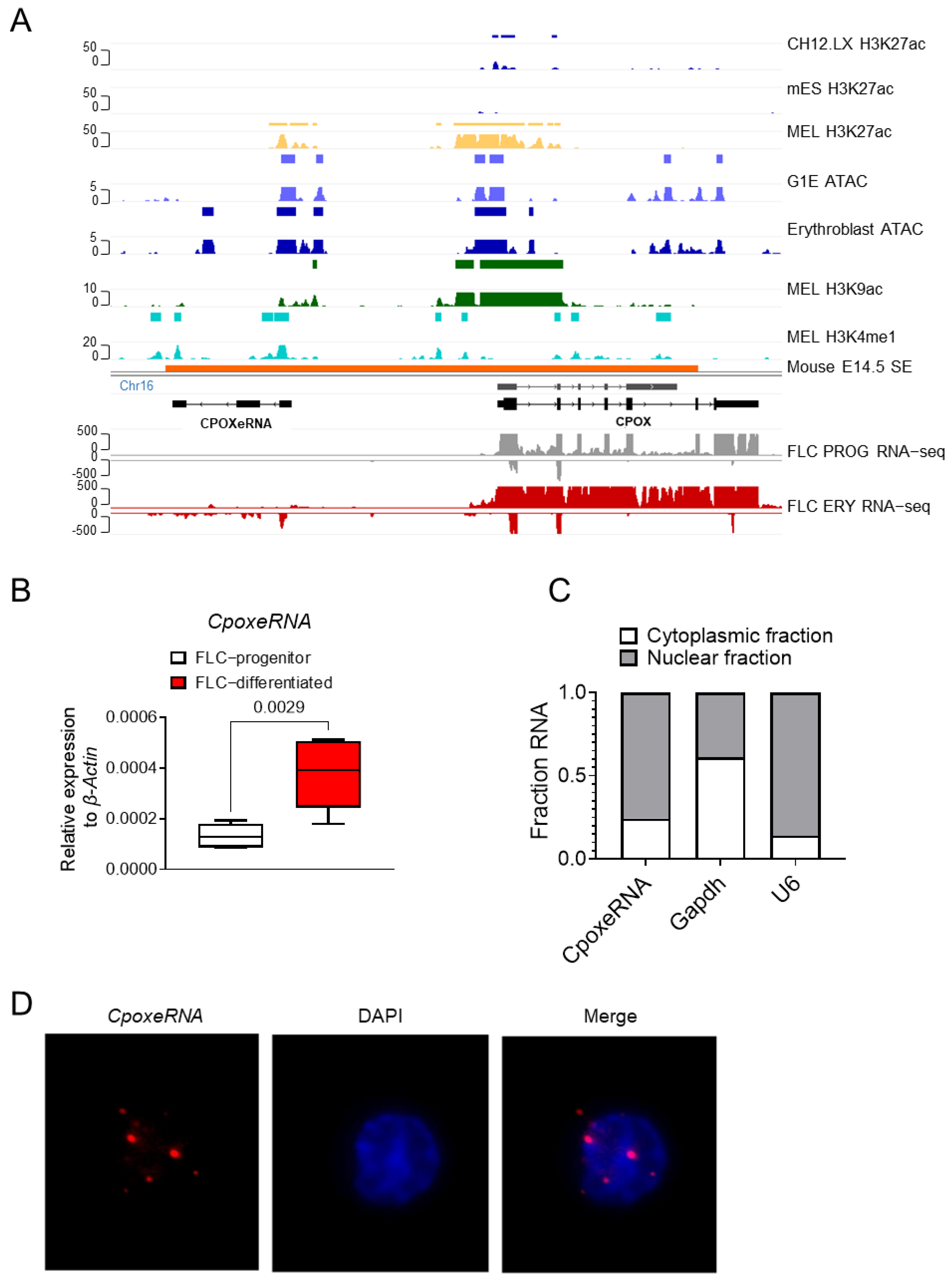 Genes 16 00389 g002