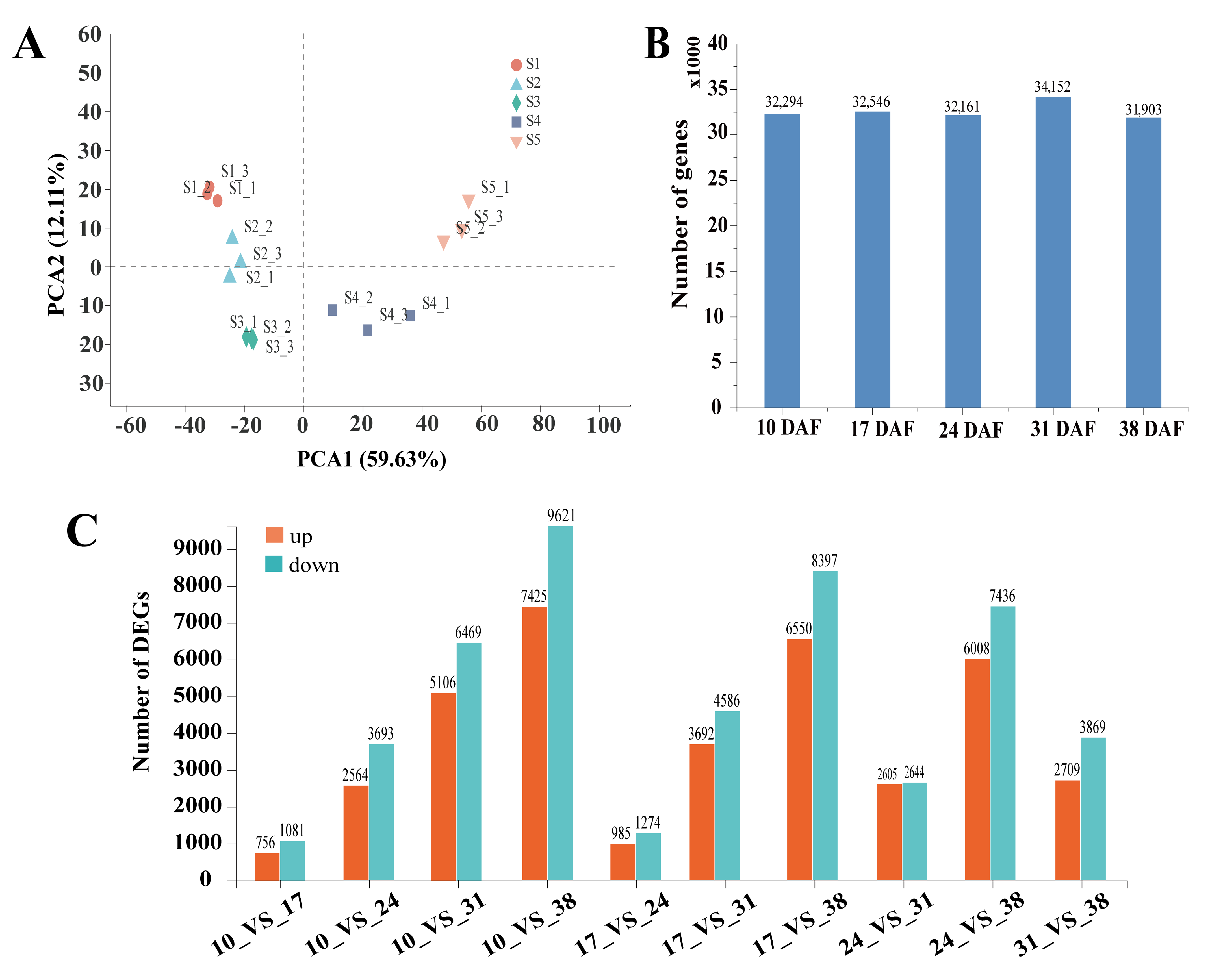 Genes 16 00393 g002