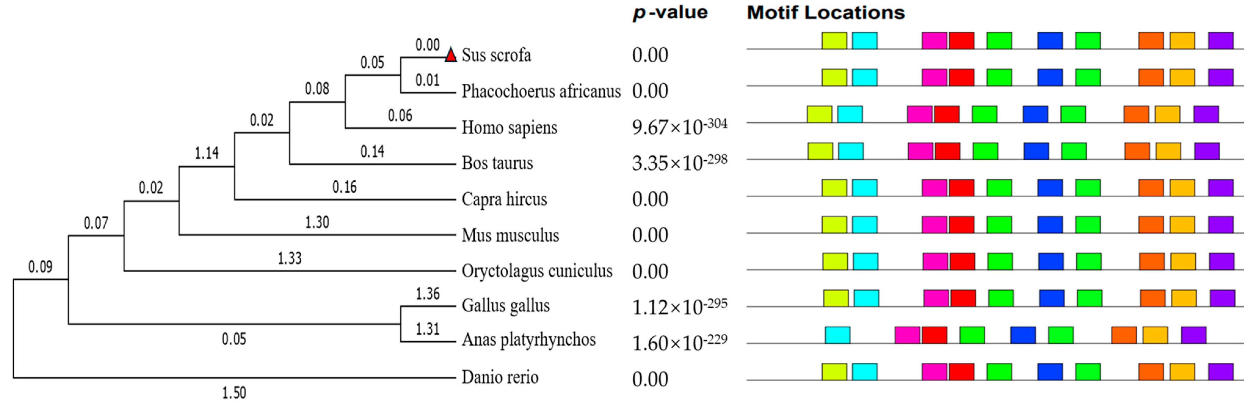 Genes 16 00395 g003