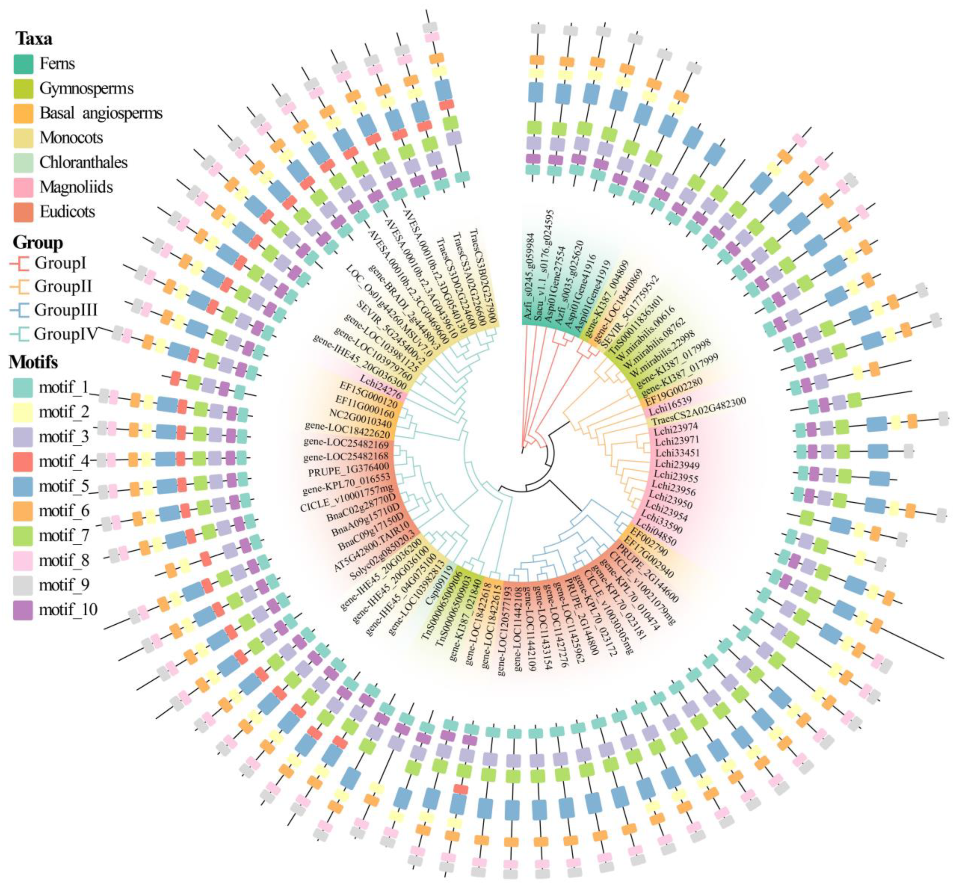 Genes 16 00396 g005