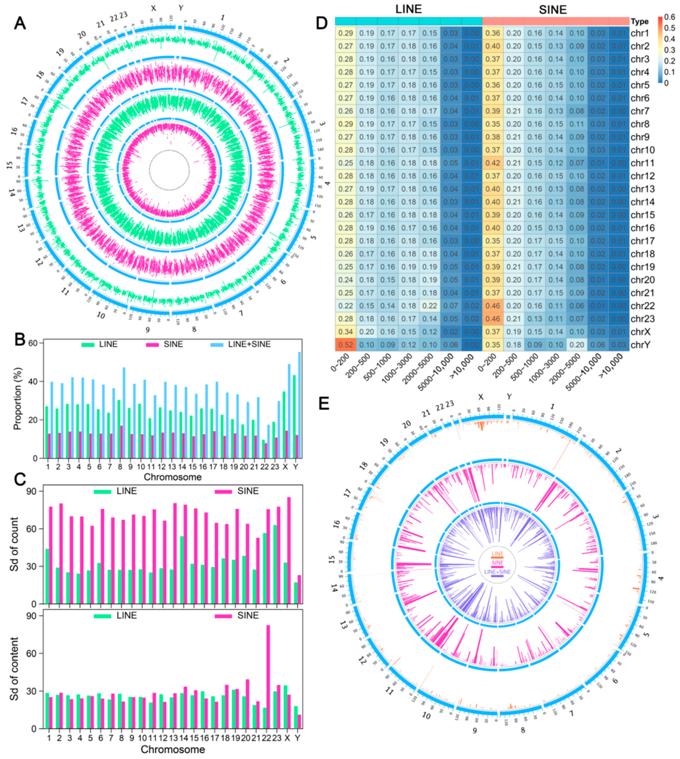 Genes 16 00397 g001