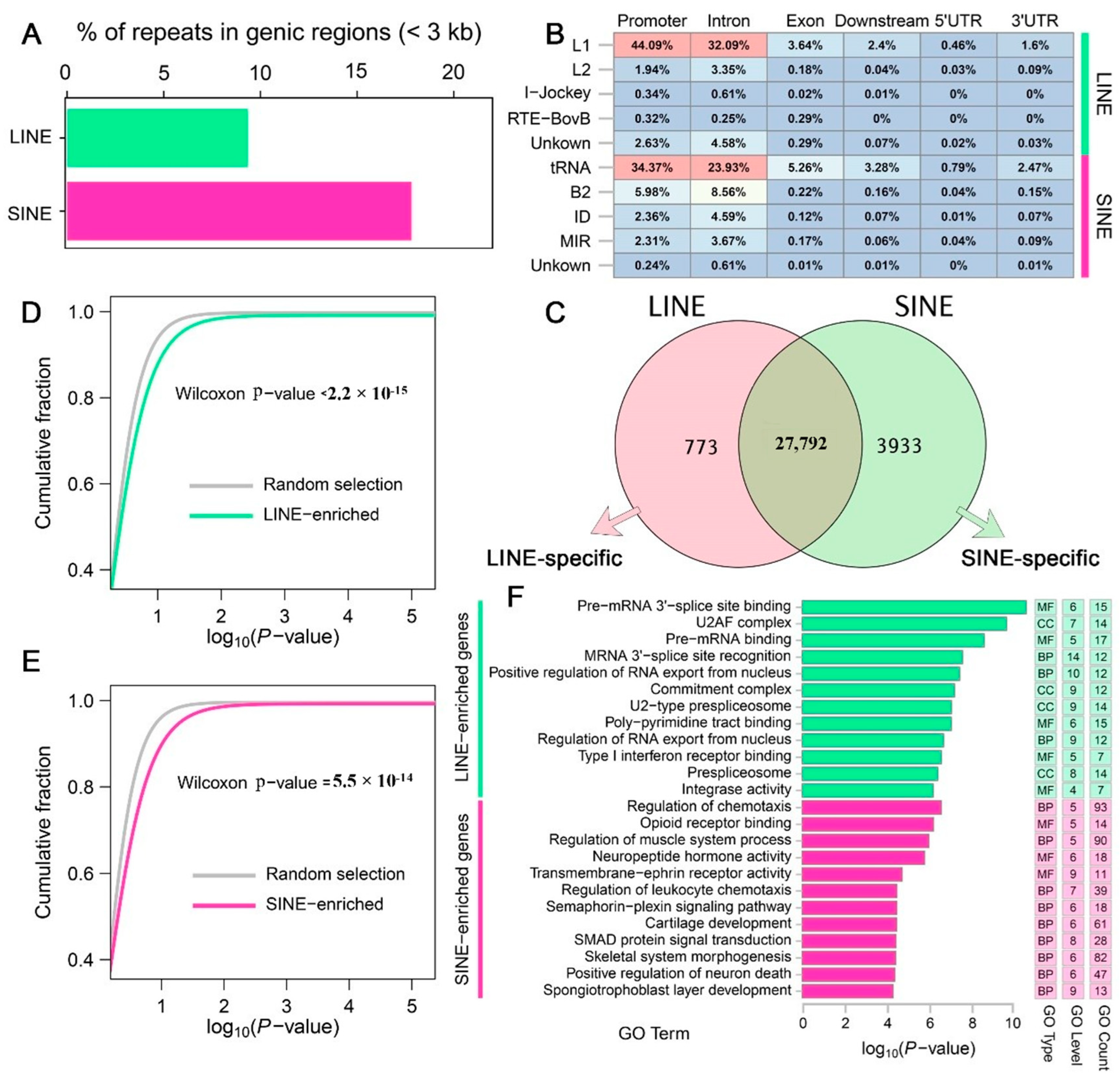 Genes 16 00397 g002