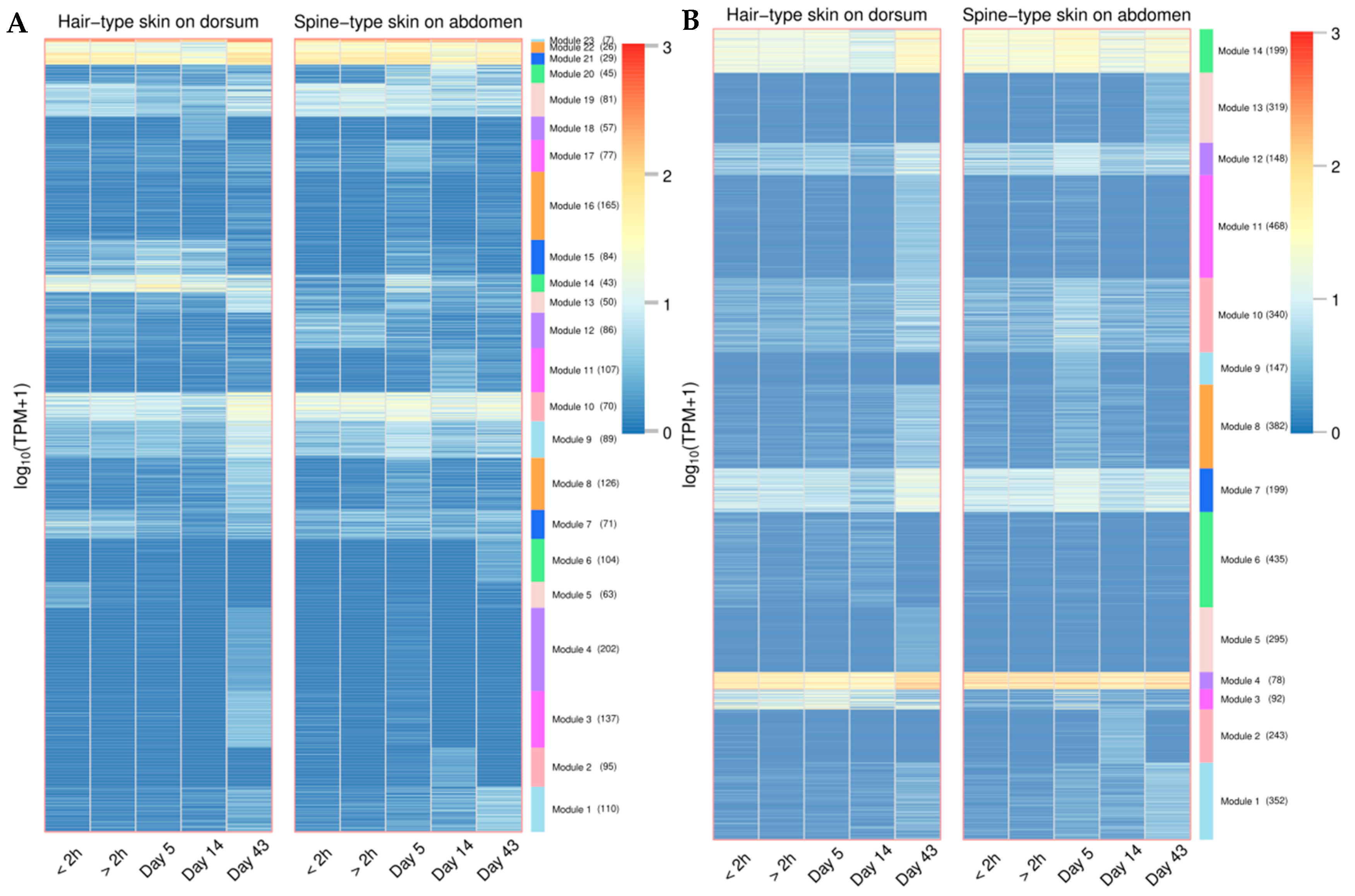 Genes 16 00397 g0a19