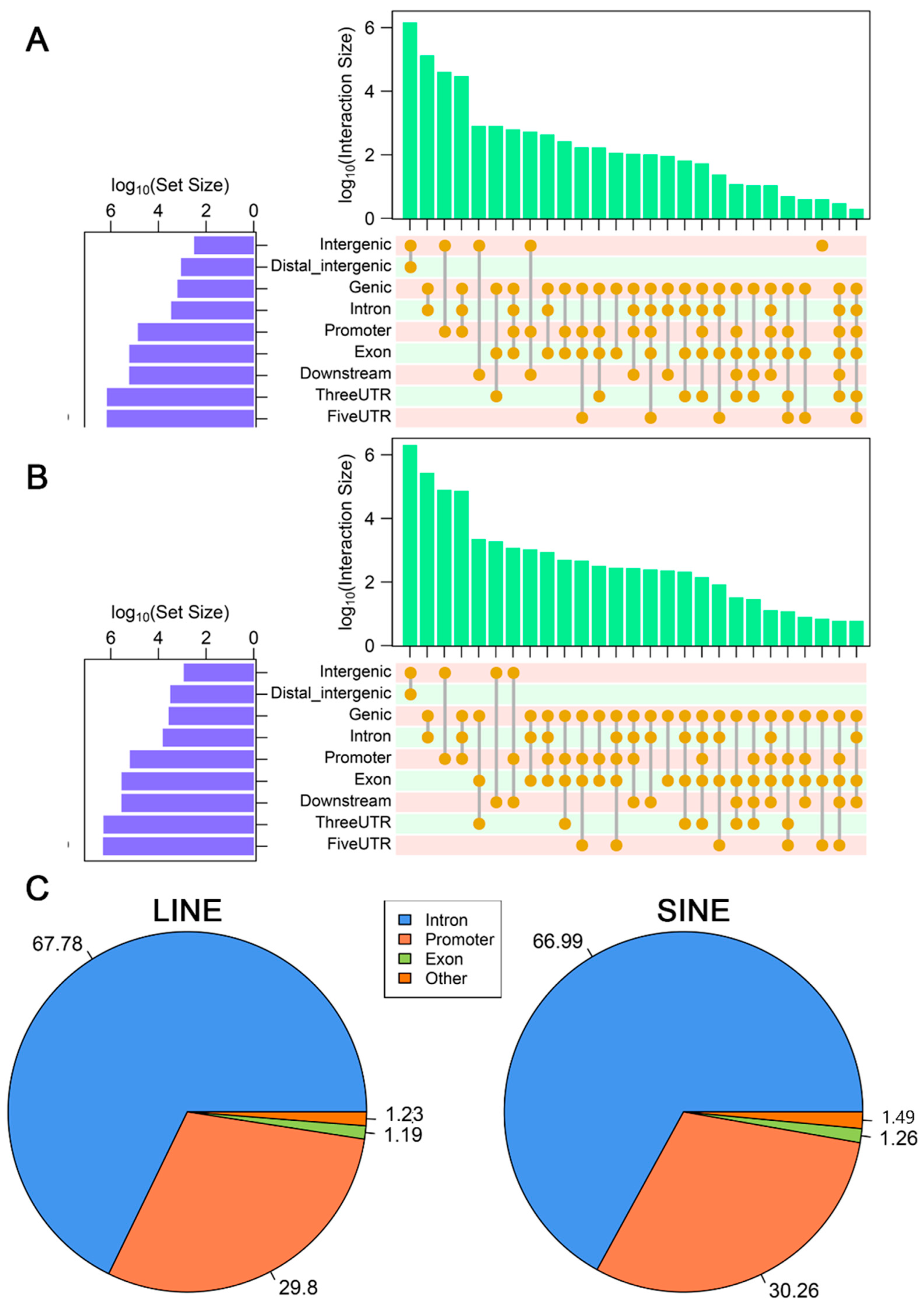 Genes 16 00397 g0a5