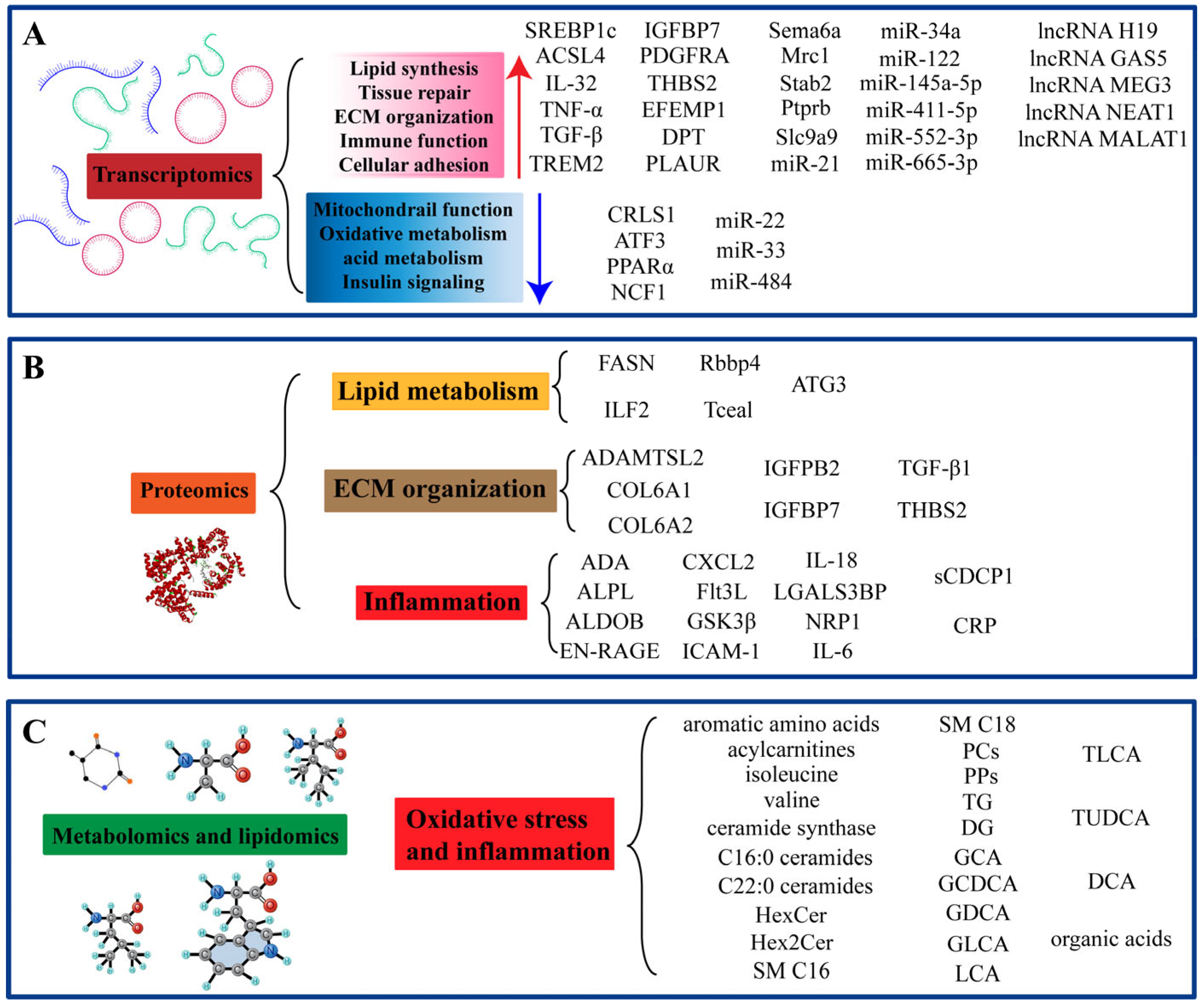 Genes 16 00399 g002