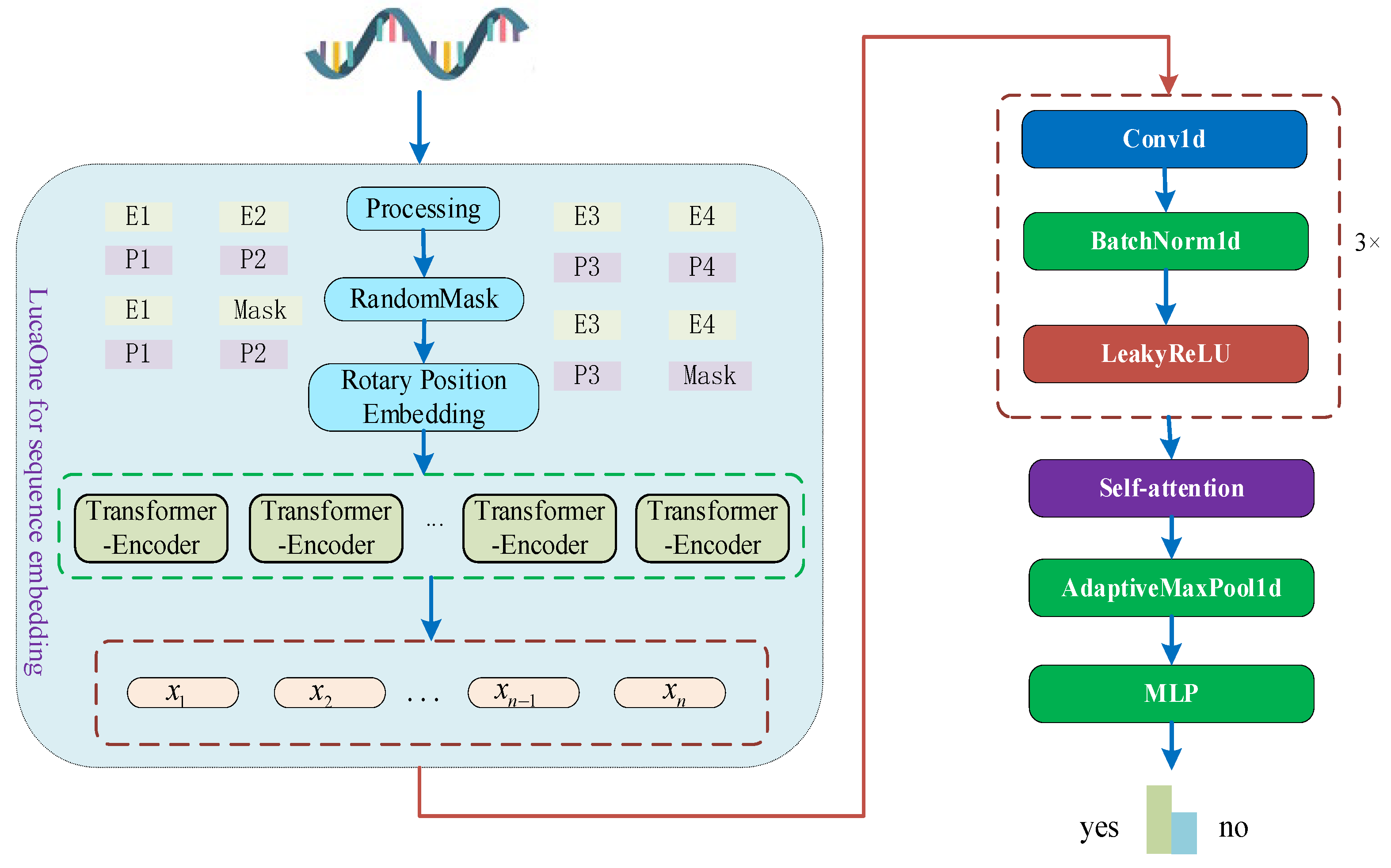 Genes 16 00413 g001