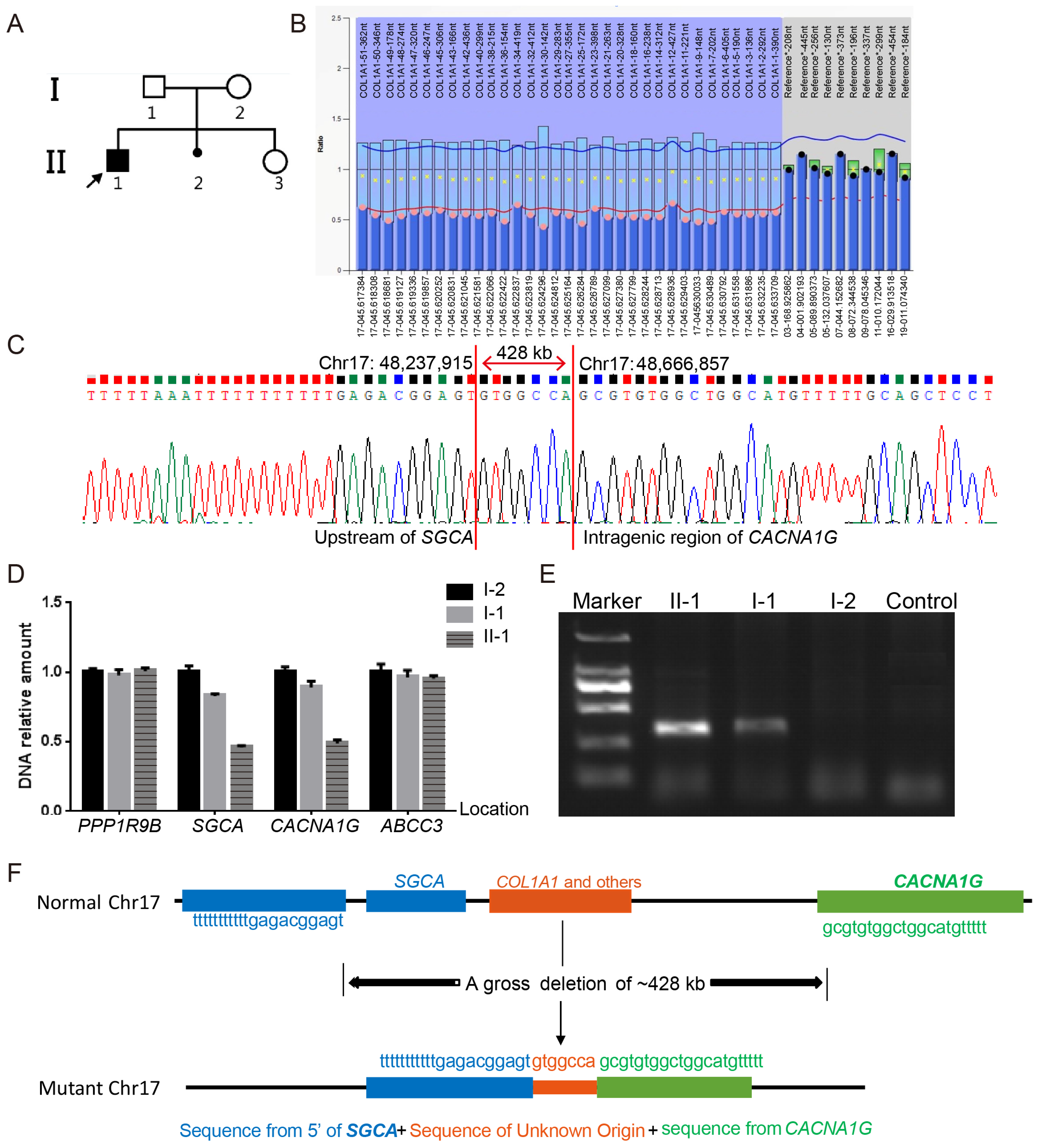 Genes 16 00416 g003