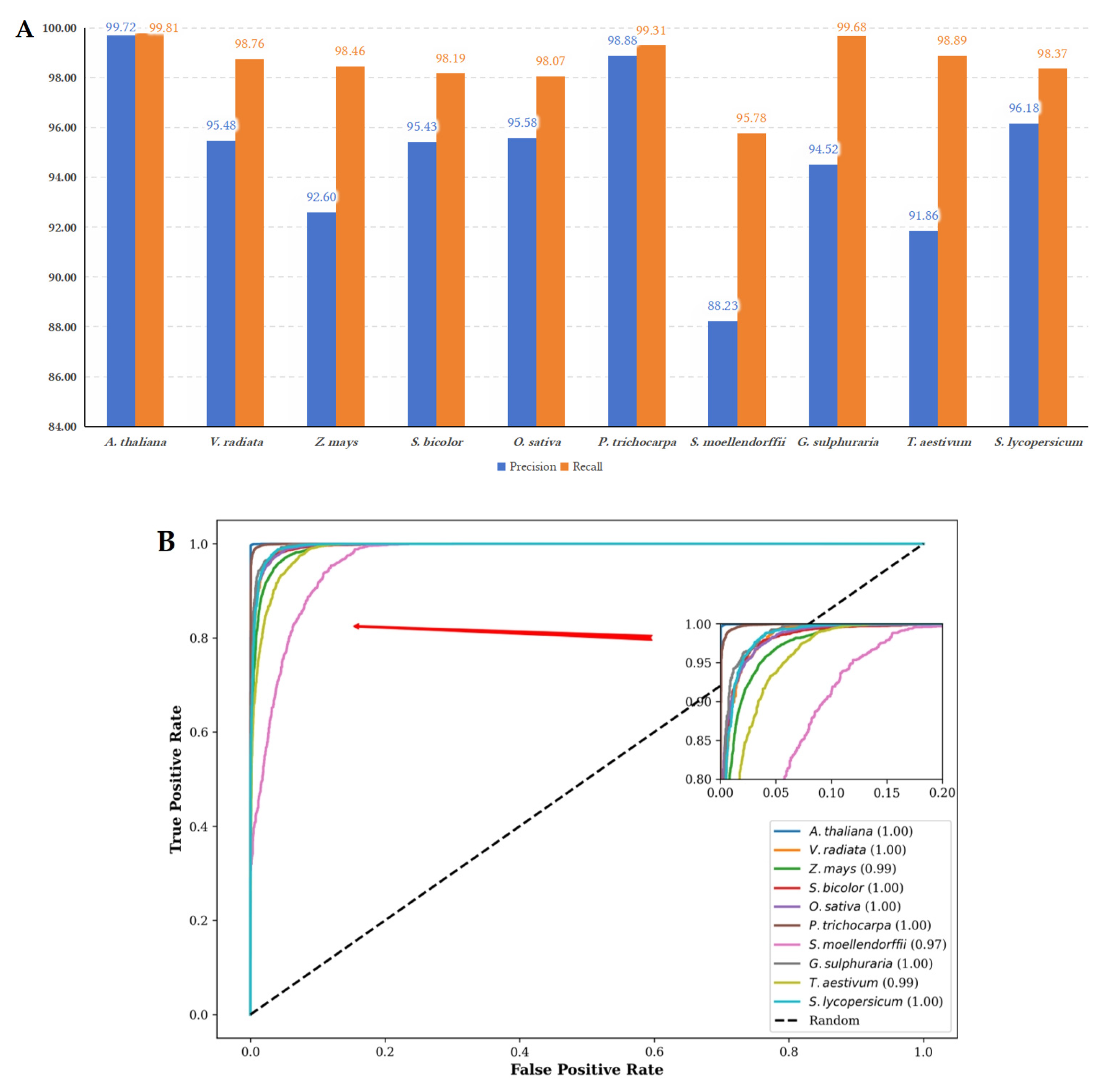 Genes 16 00424 g006