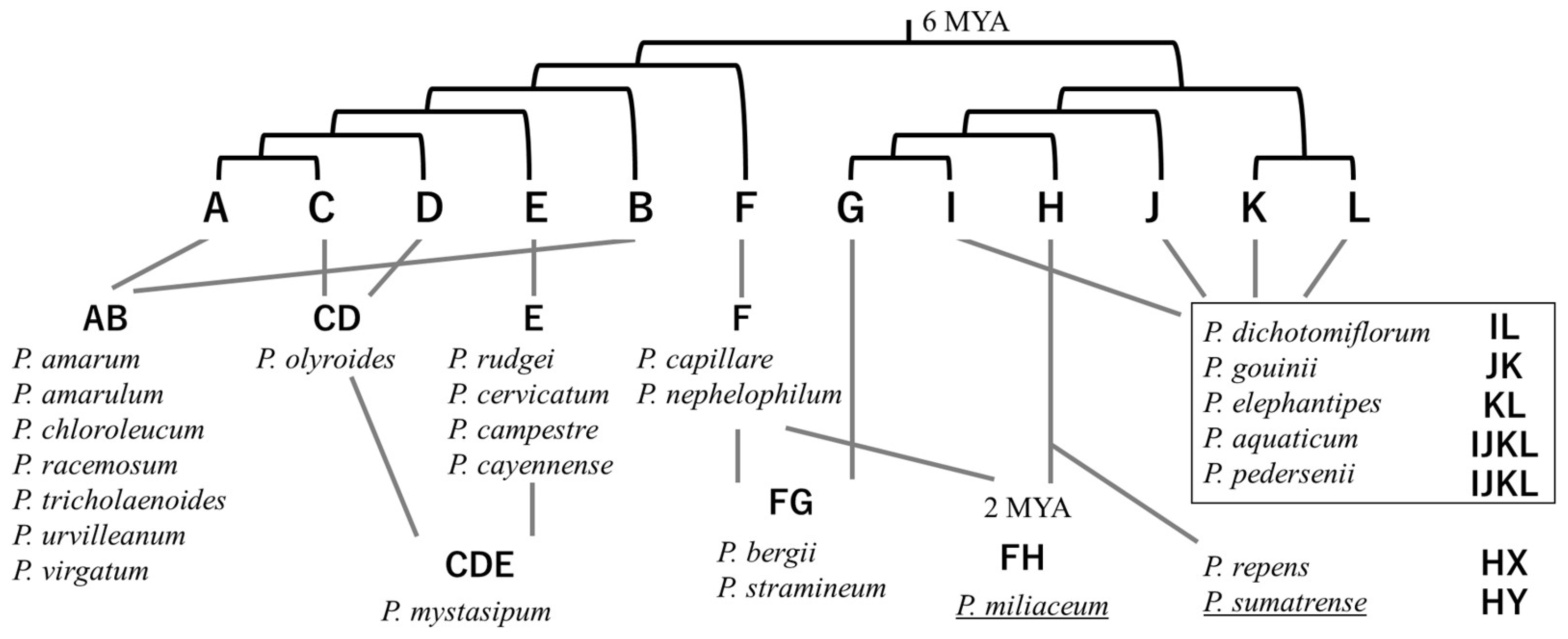 Genes 16 00426 g002 Genes 16 00426 g002