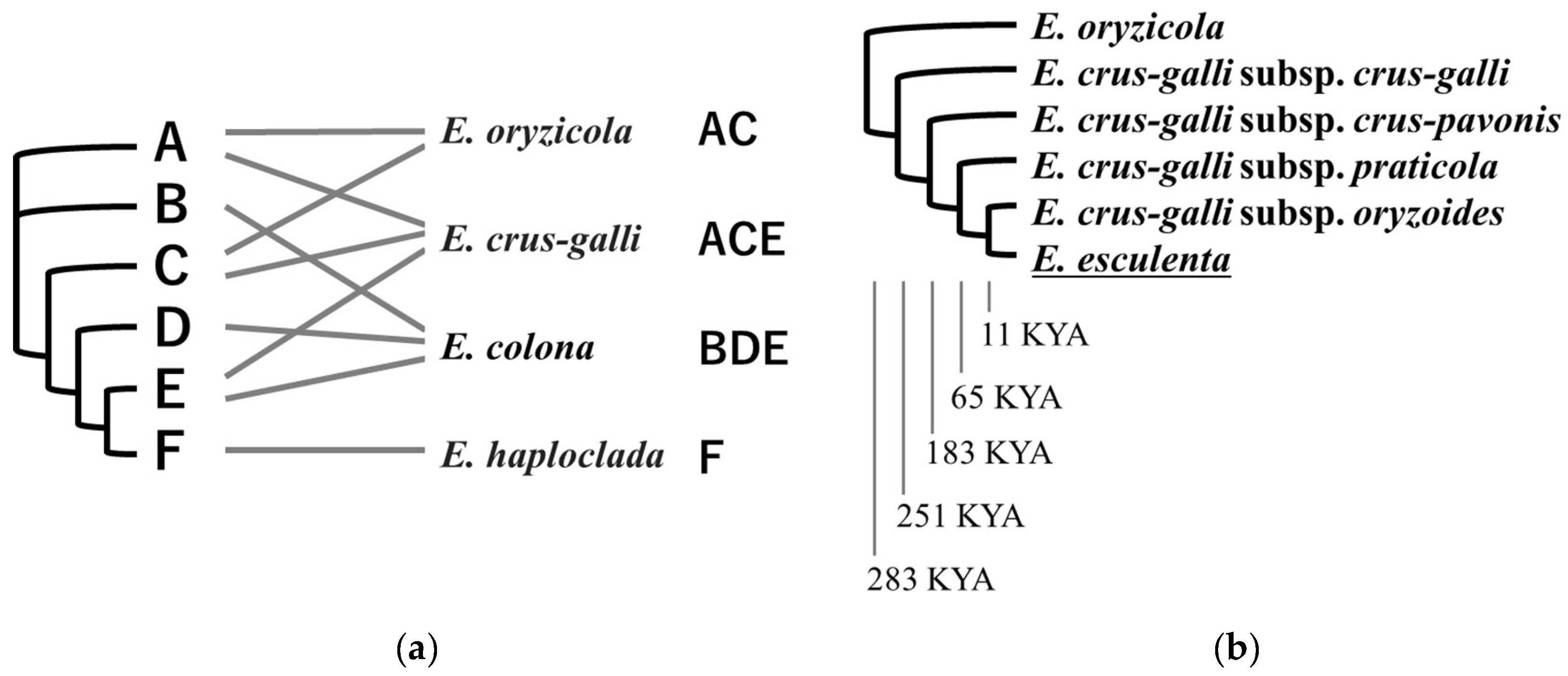 Genes 16 00426 g003 Genes 16 00426 g003