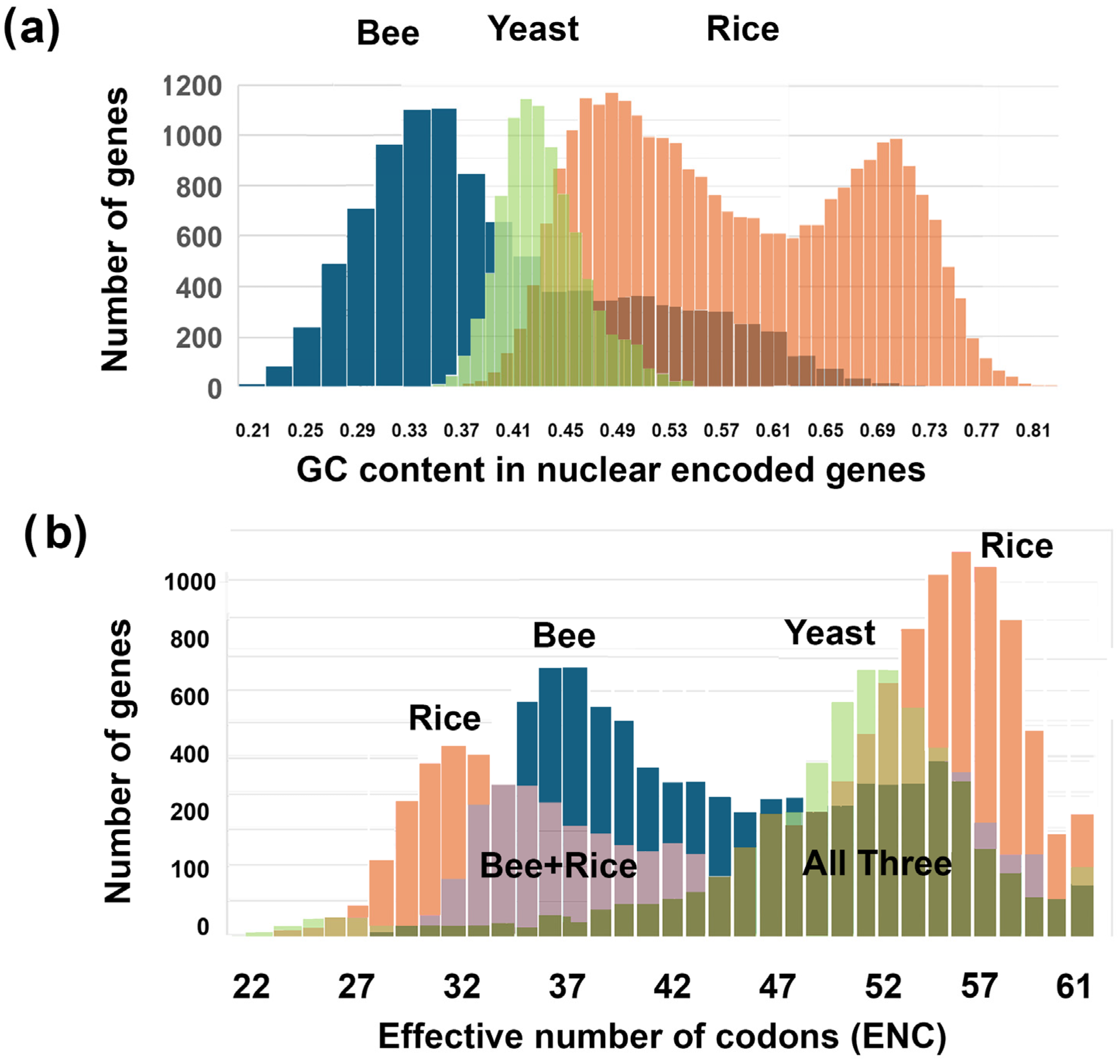 Genes 16 00432 g001 Genes 16 00432 g001