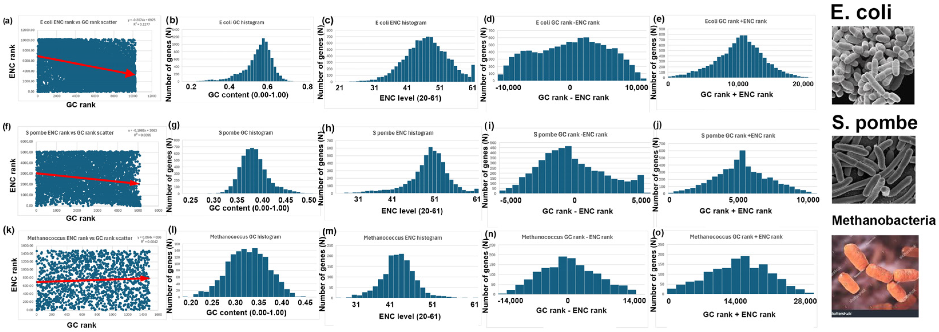 Genes 16 00432 g005 Genes 16 00432 g005