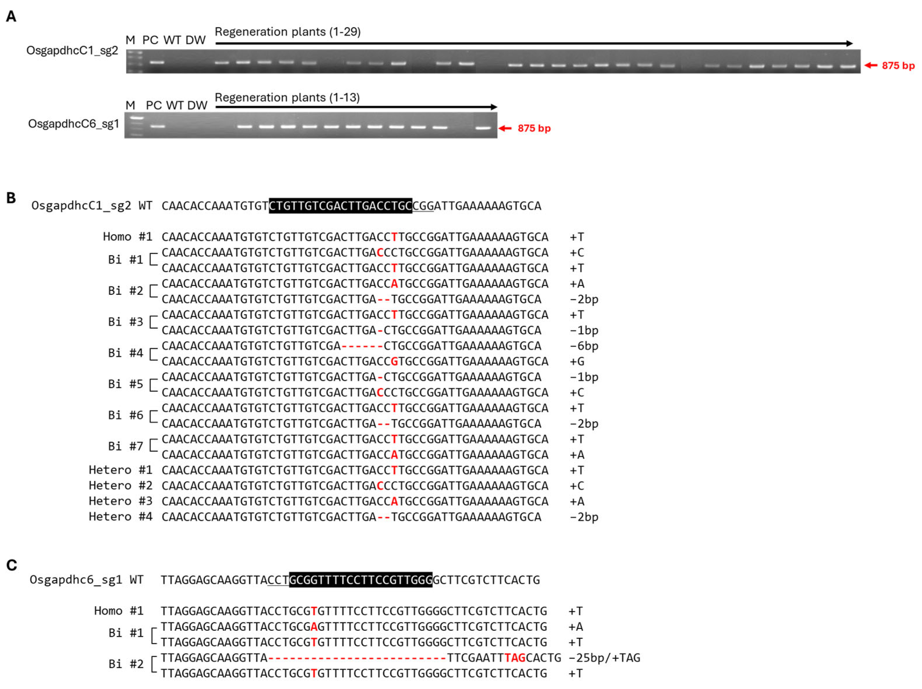 Genes 16 00436 g003