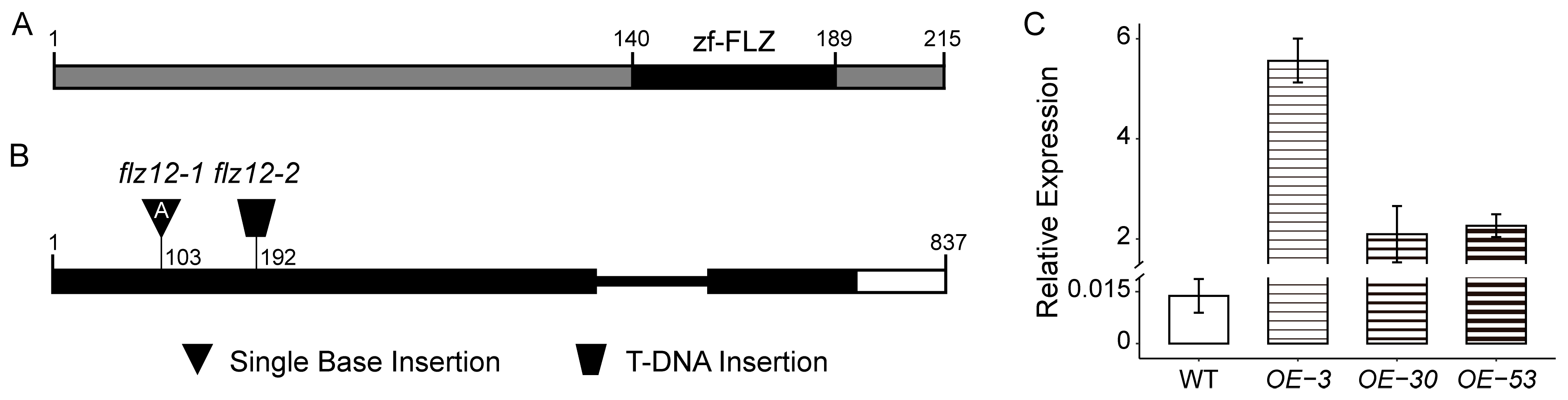 Genes 16 00438 g002