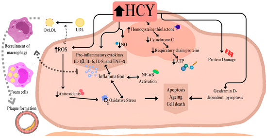 glutathione for mthfr Liposomal Glutathione main image 1