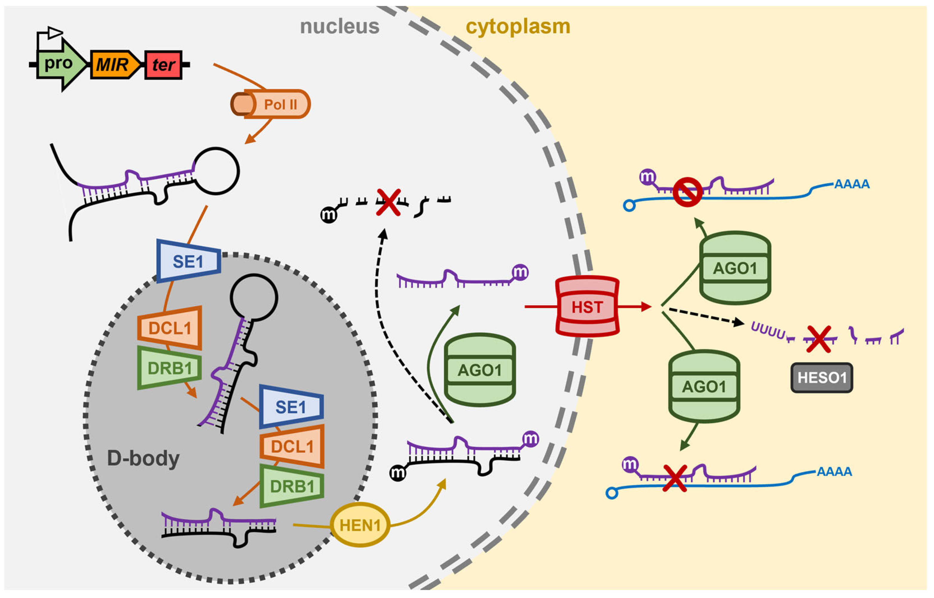 Genes 16 00442 g001 Genes 16 00442 g001