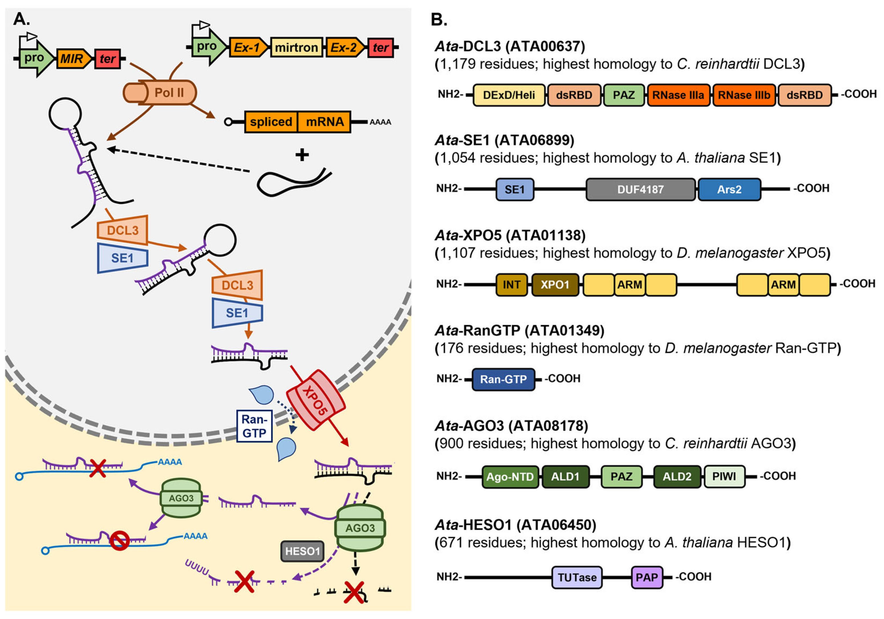 Genes 16 00442 g004 Genes 16 00442 g004
