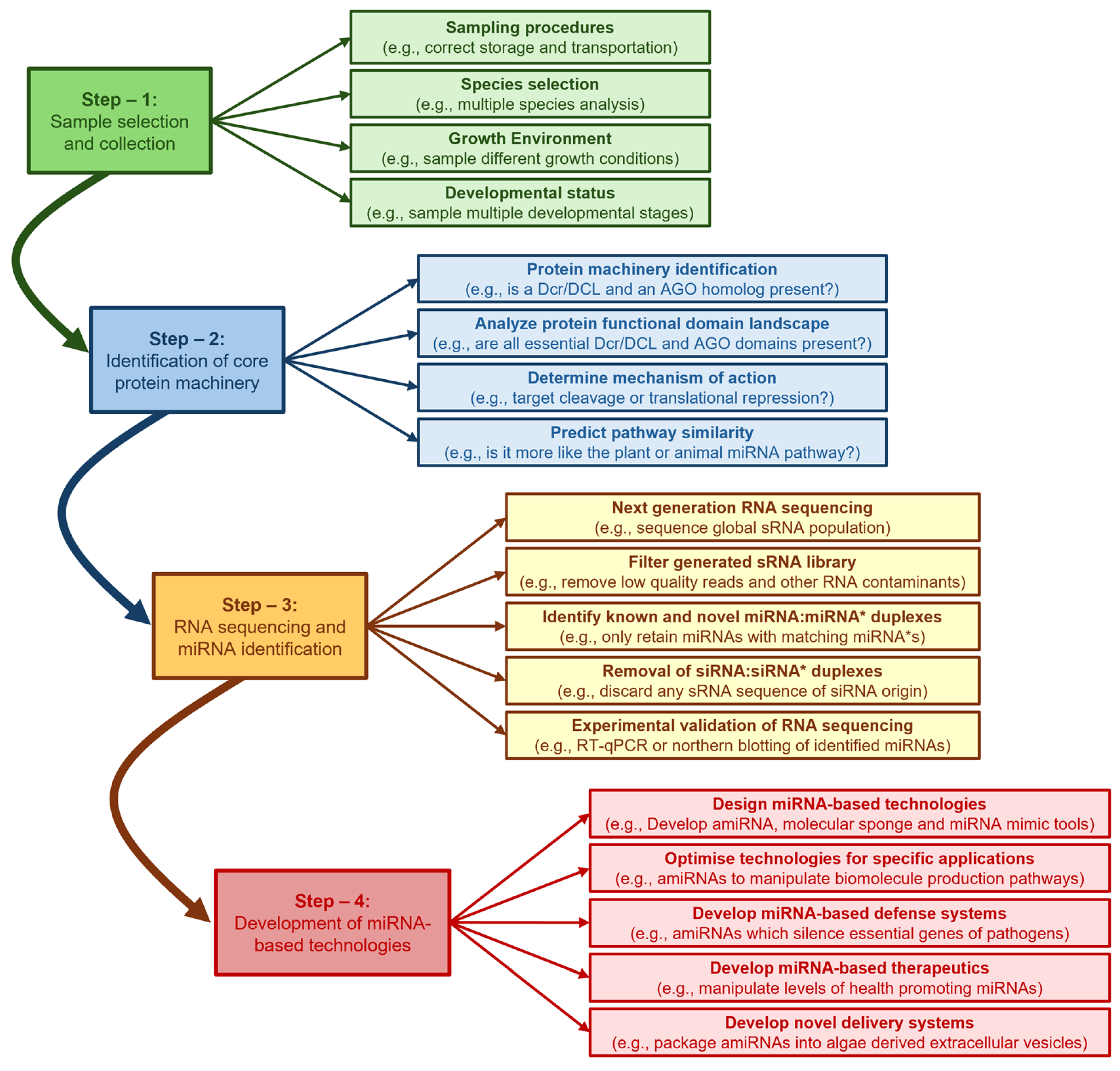 Genes 16 00442 g005 Genes 16 00442 g005