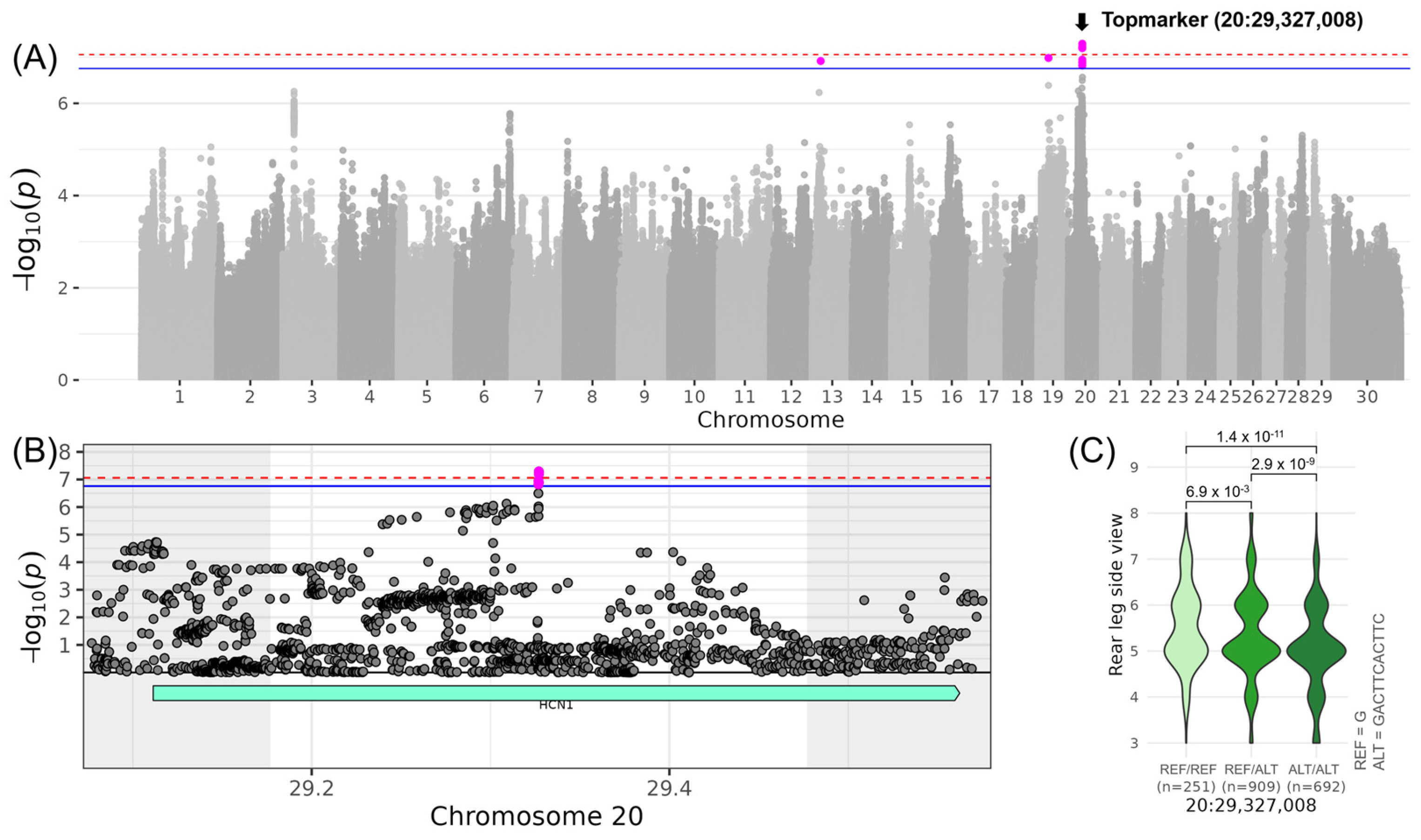 Genes 16 00445 g004