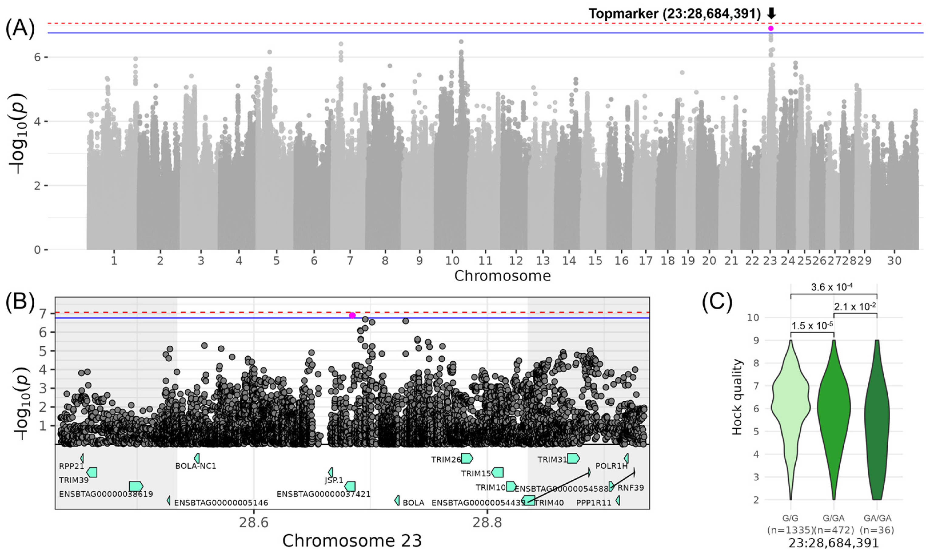 Genes 16 00445 g005
