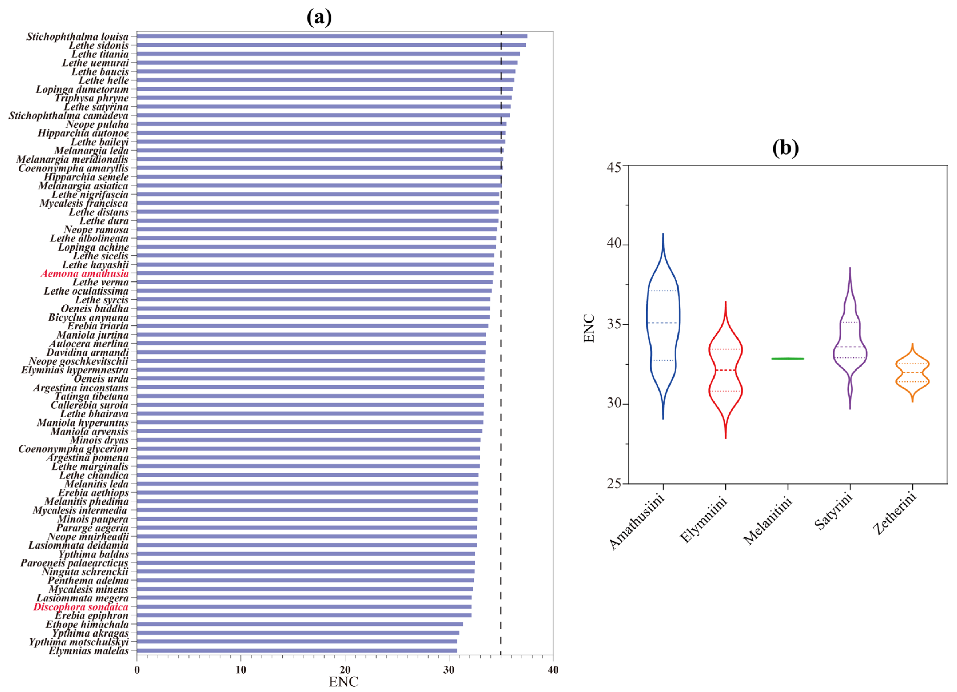 Genes 16 00447 g004