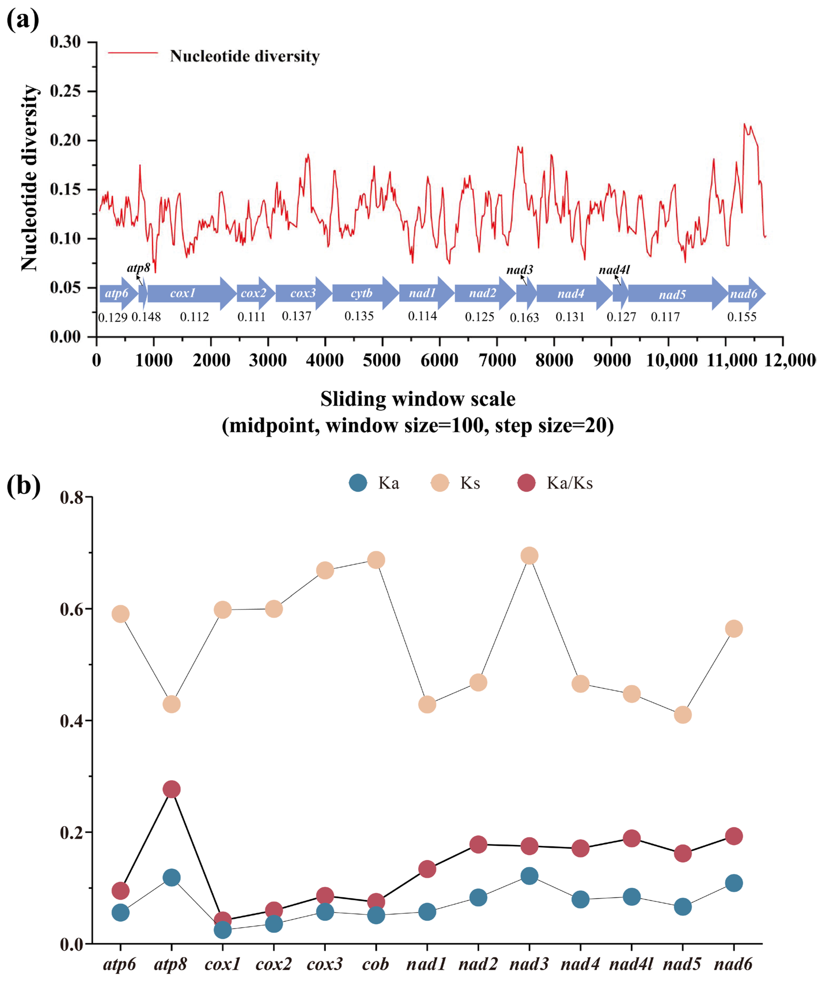 Genes 16 00447 g005