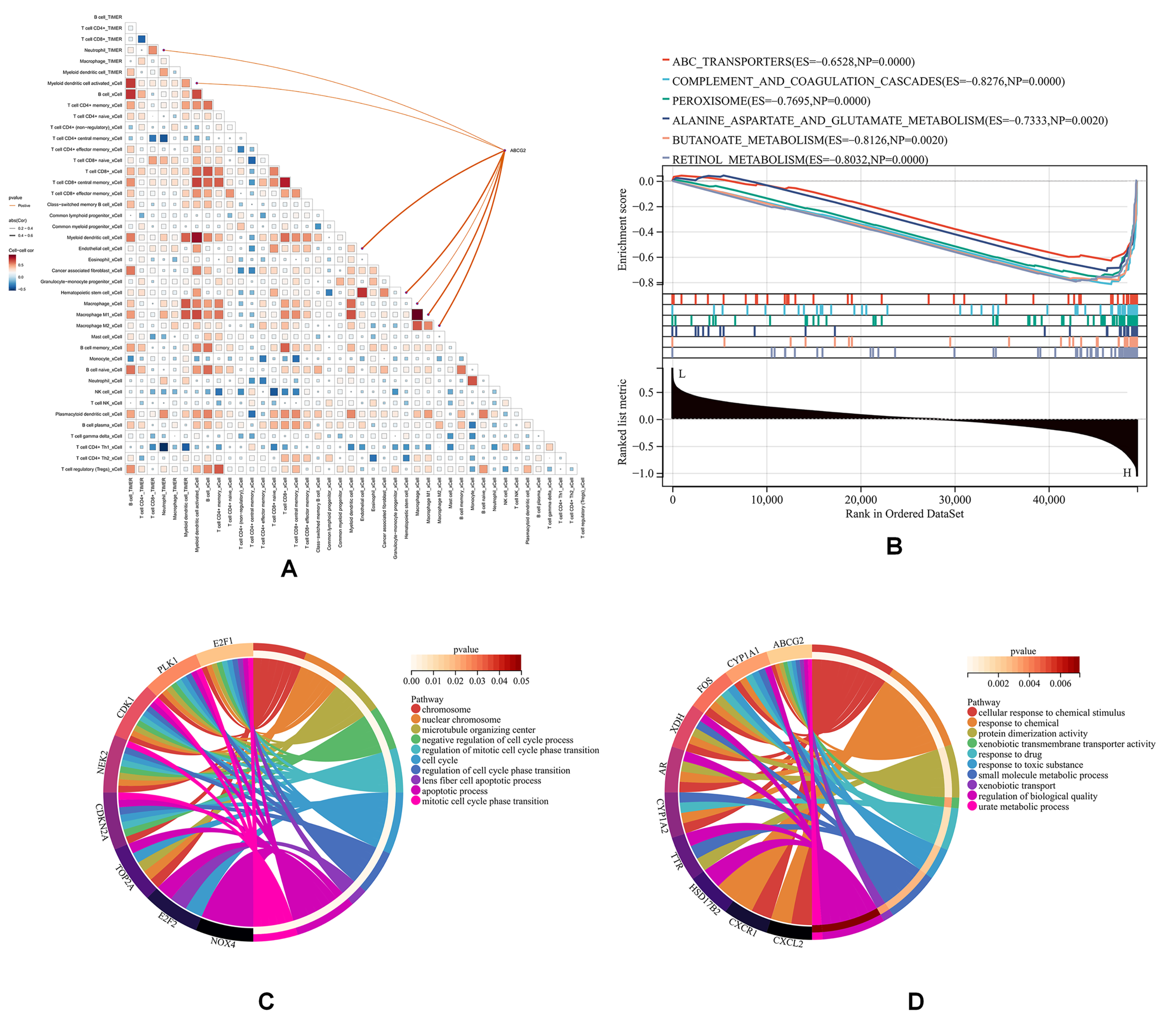 Genes 16 00449 g005
