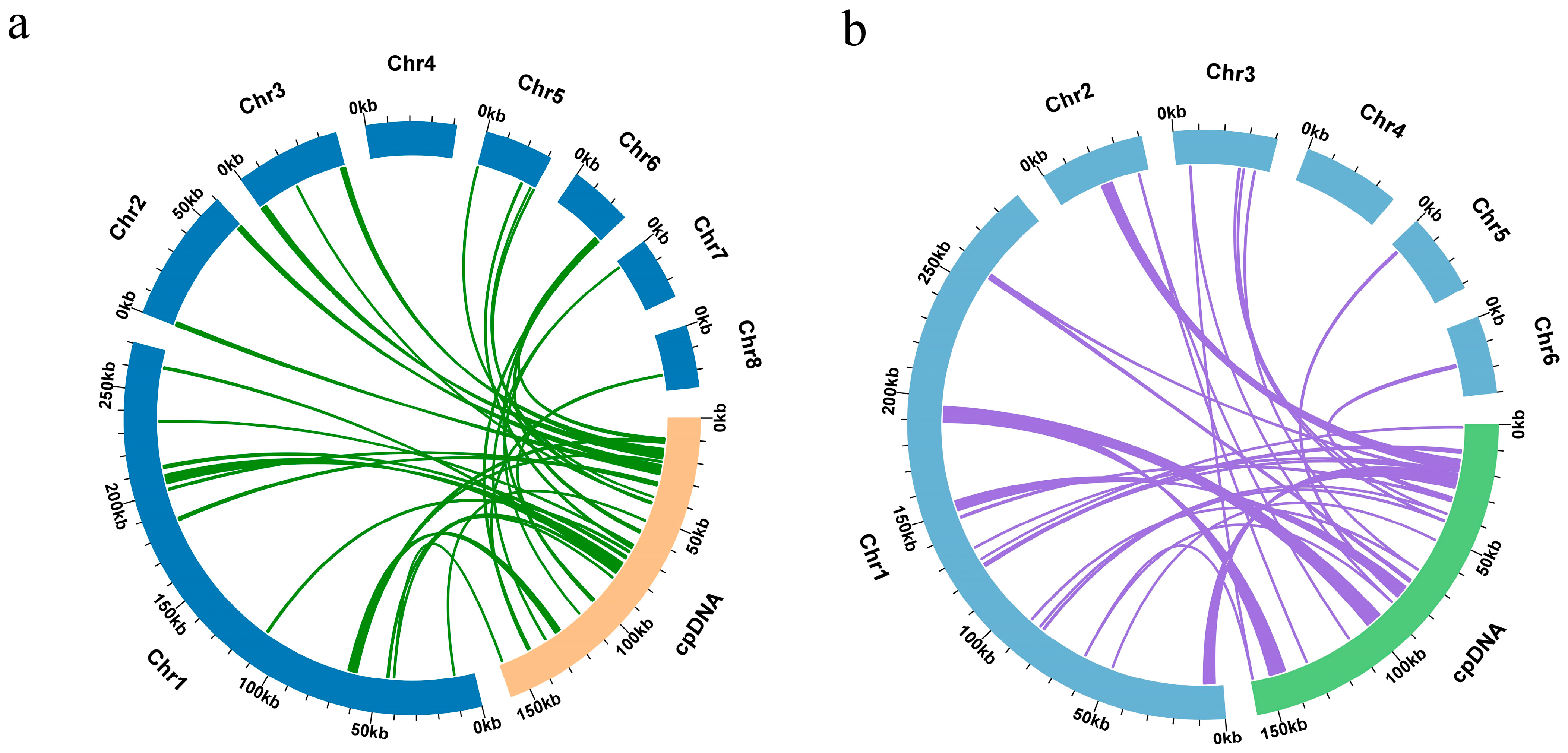 Genes 16 00450 g005
