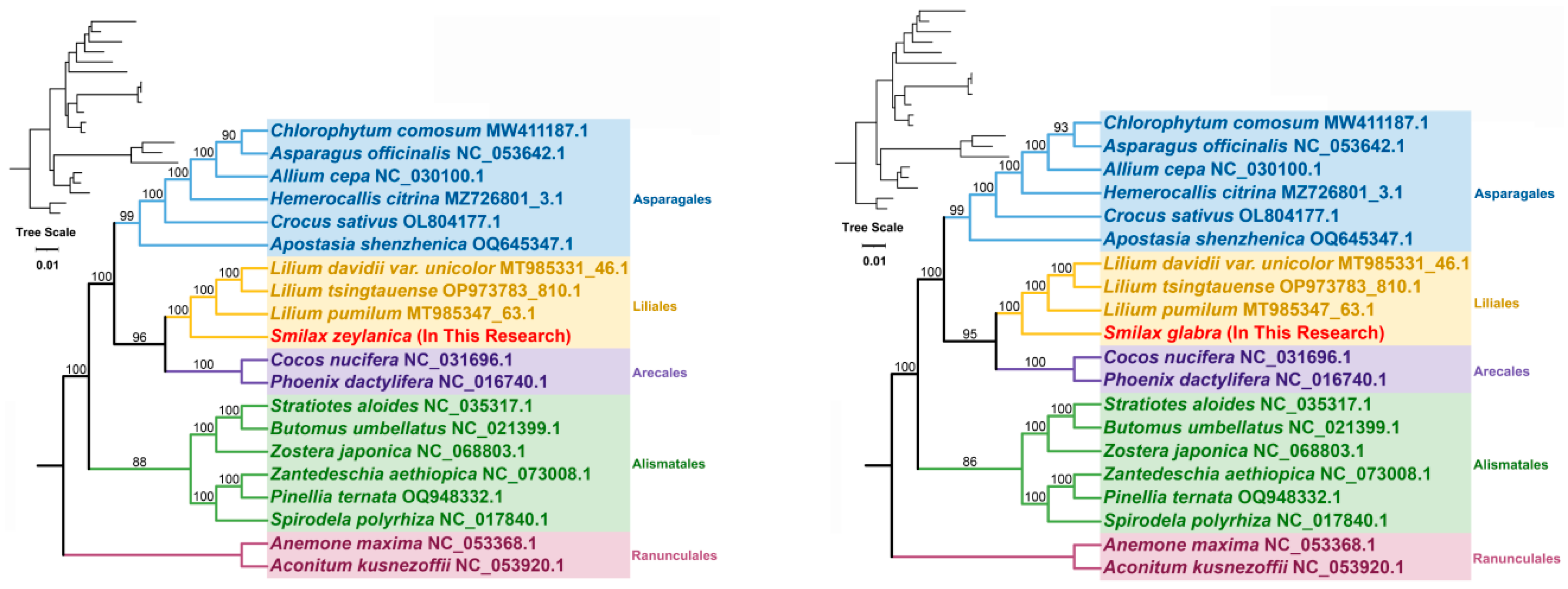 Genes 16 00450 g006