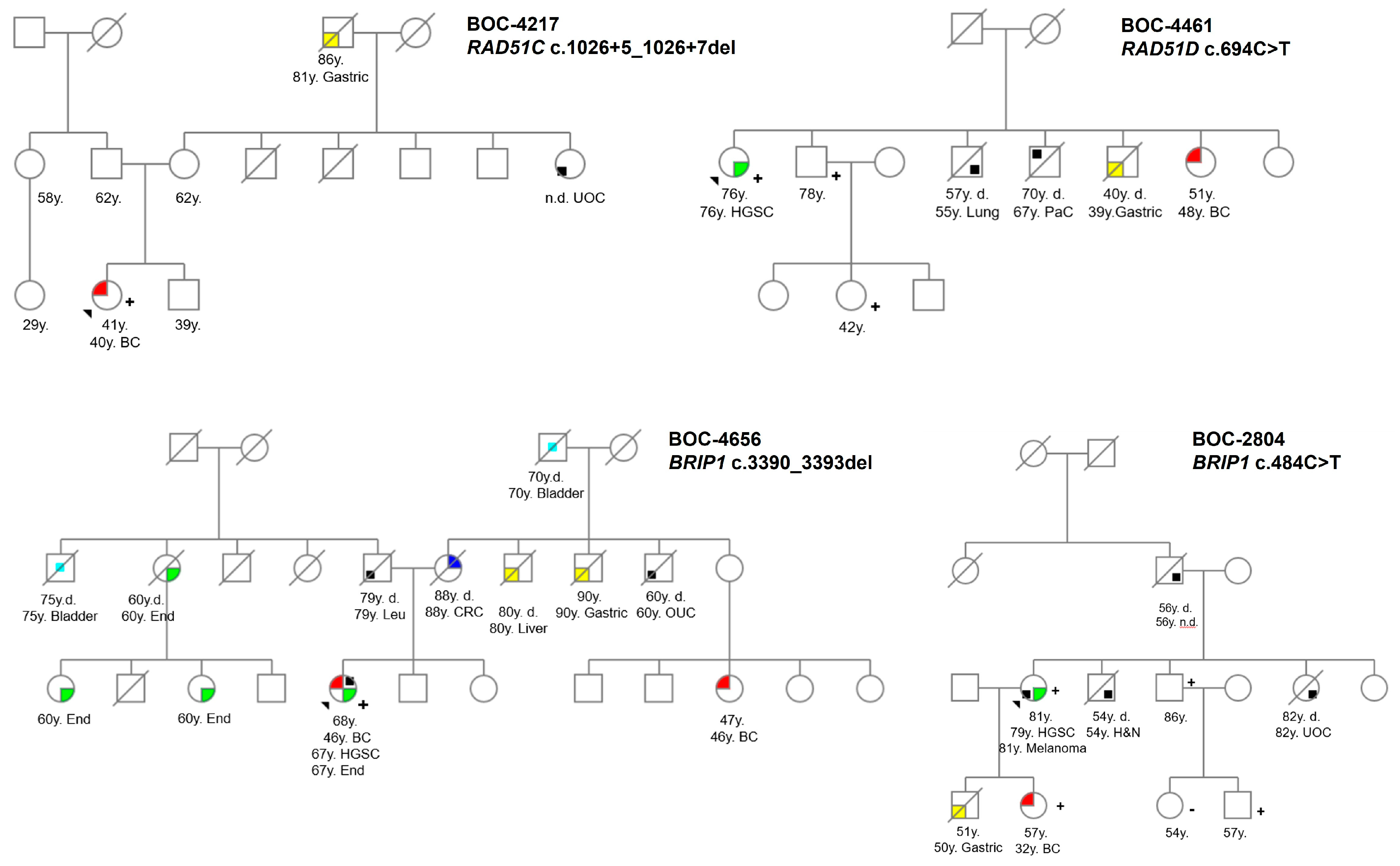 Genes 16 00458 g002a