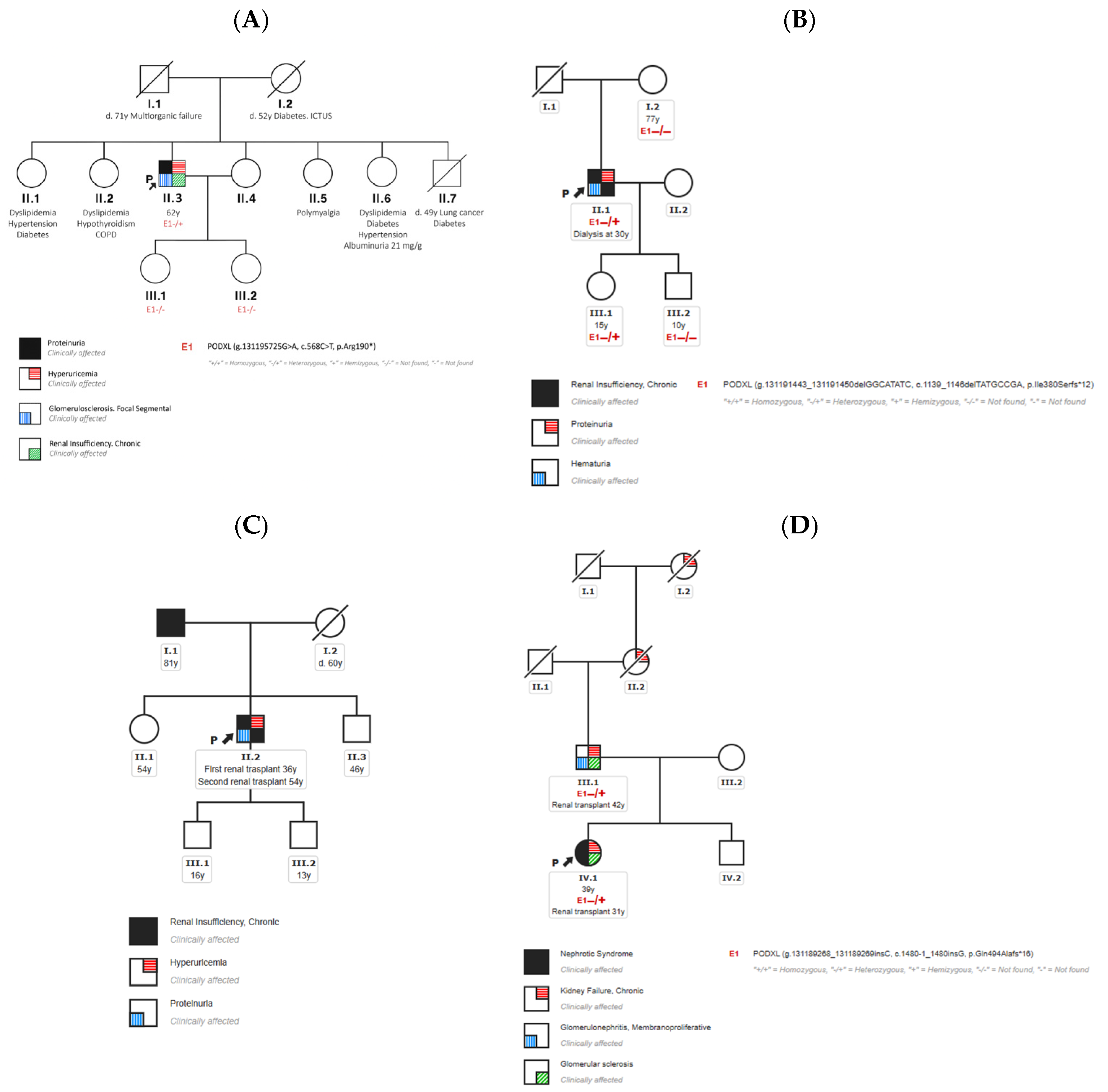Genes 16 00464 g002 Genes 16 00464 g002