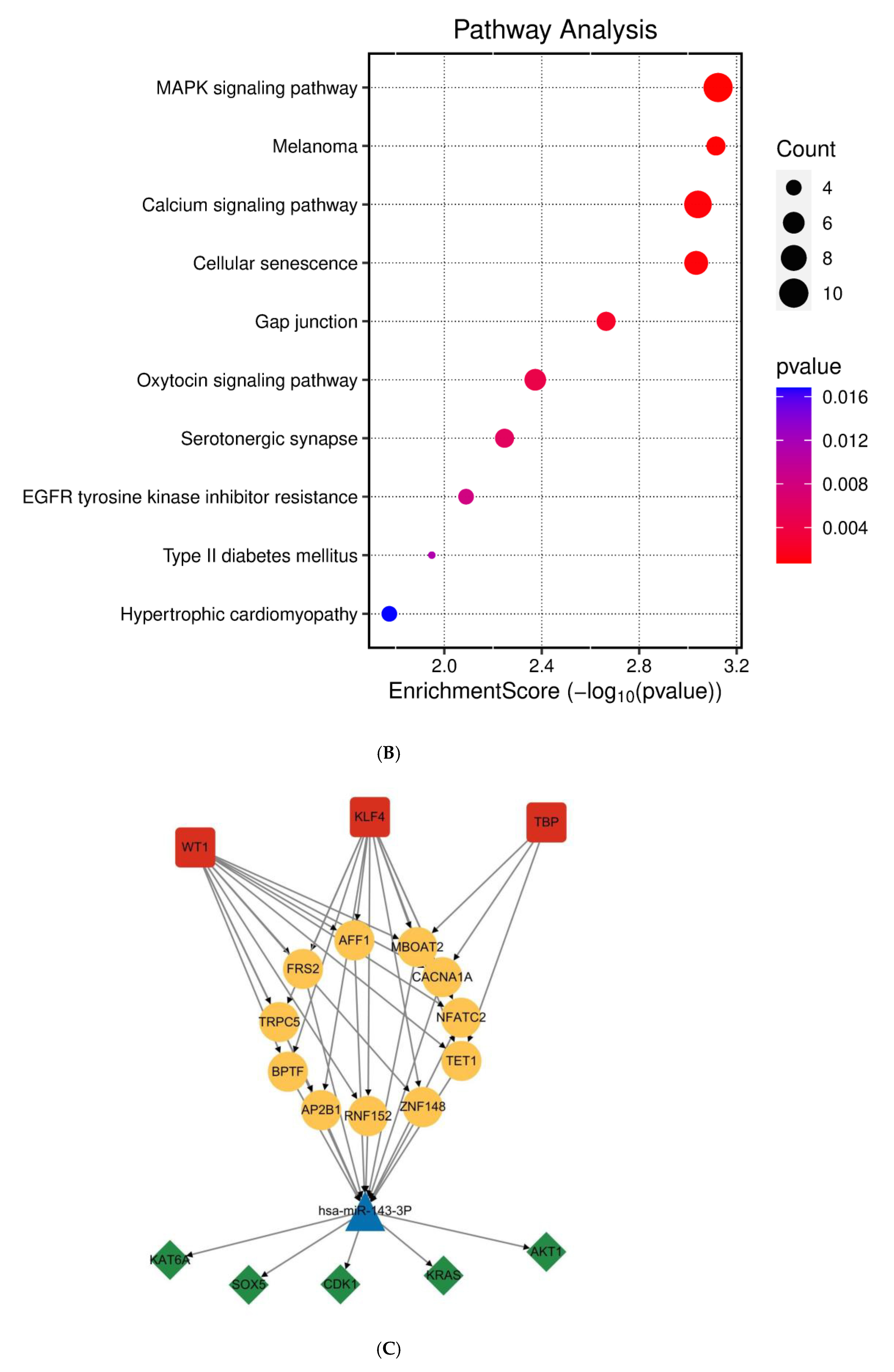 Genes 16 00466 g002b