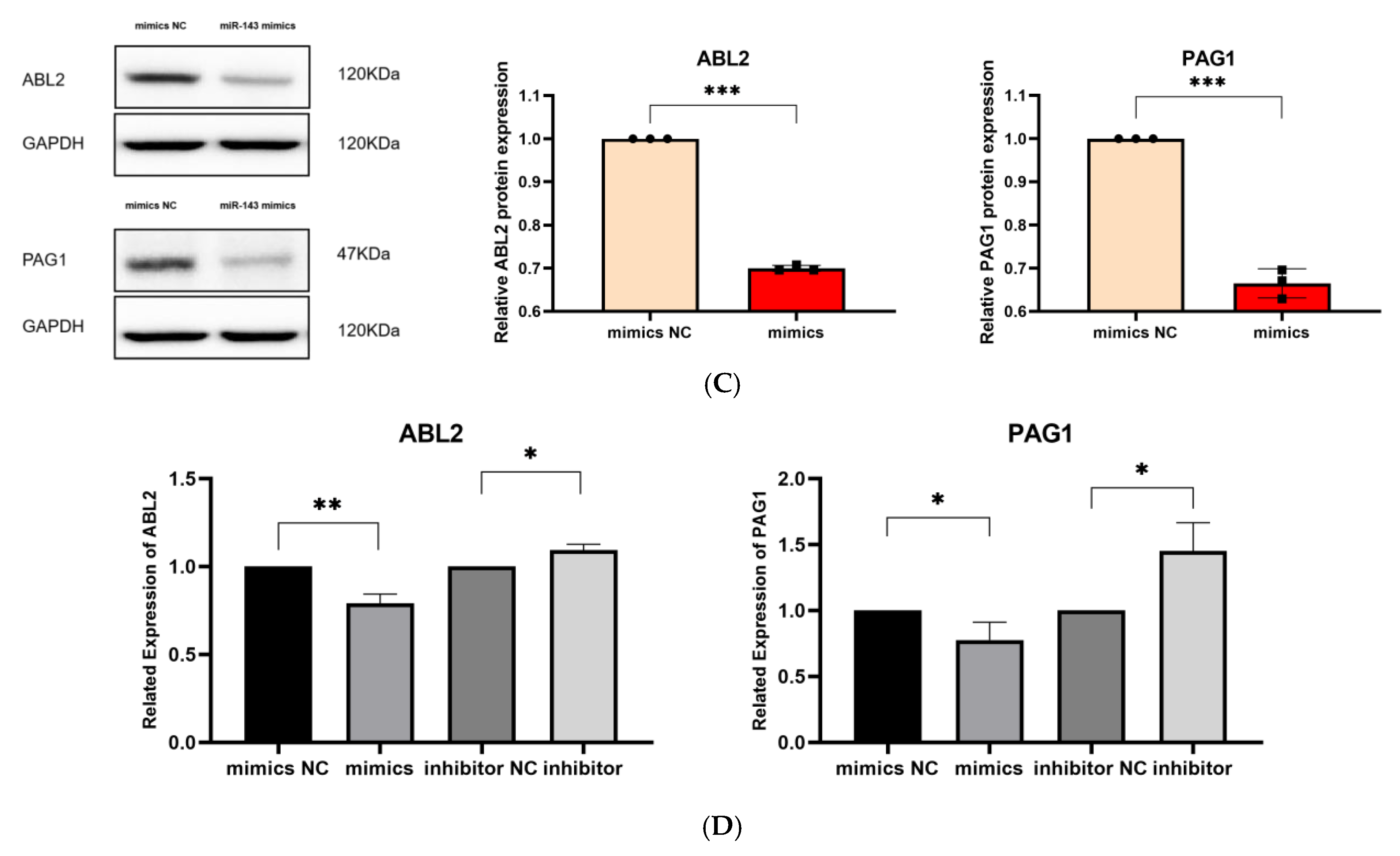 Genes 16 00466 g003b