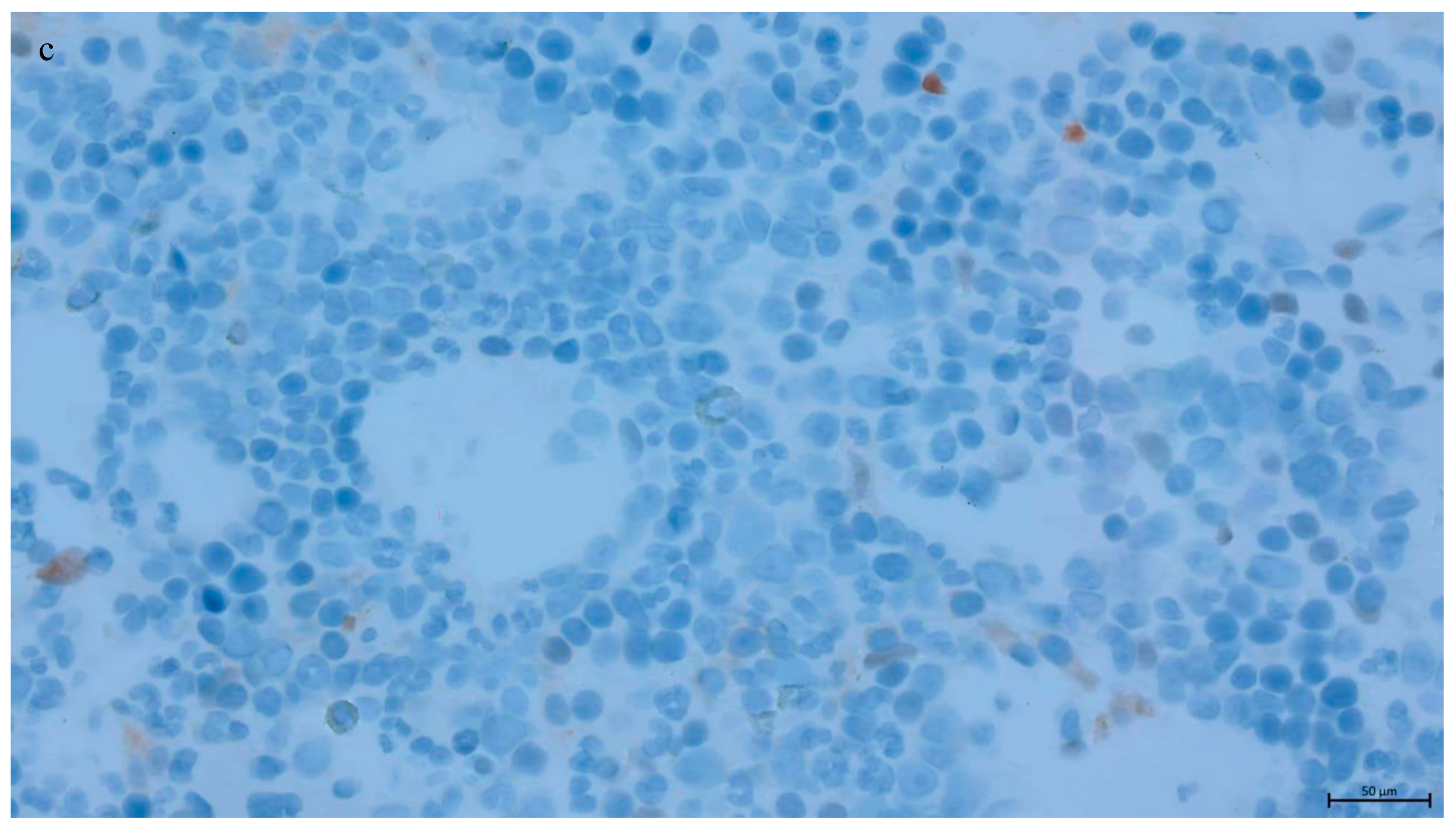 Genes 16 00467 g003b